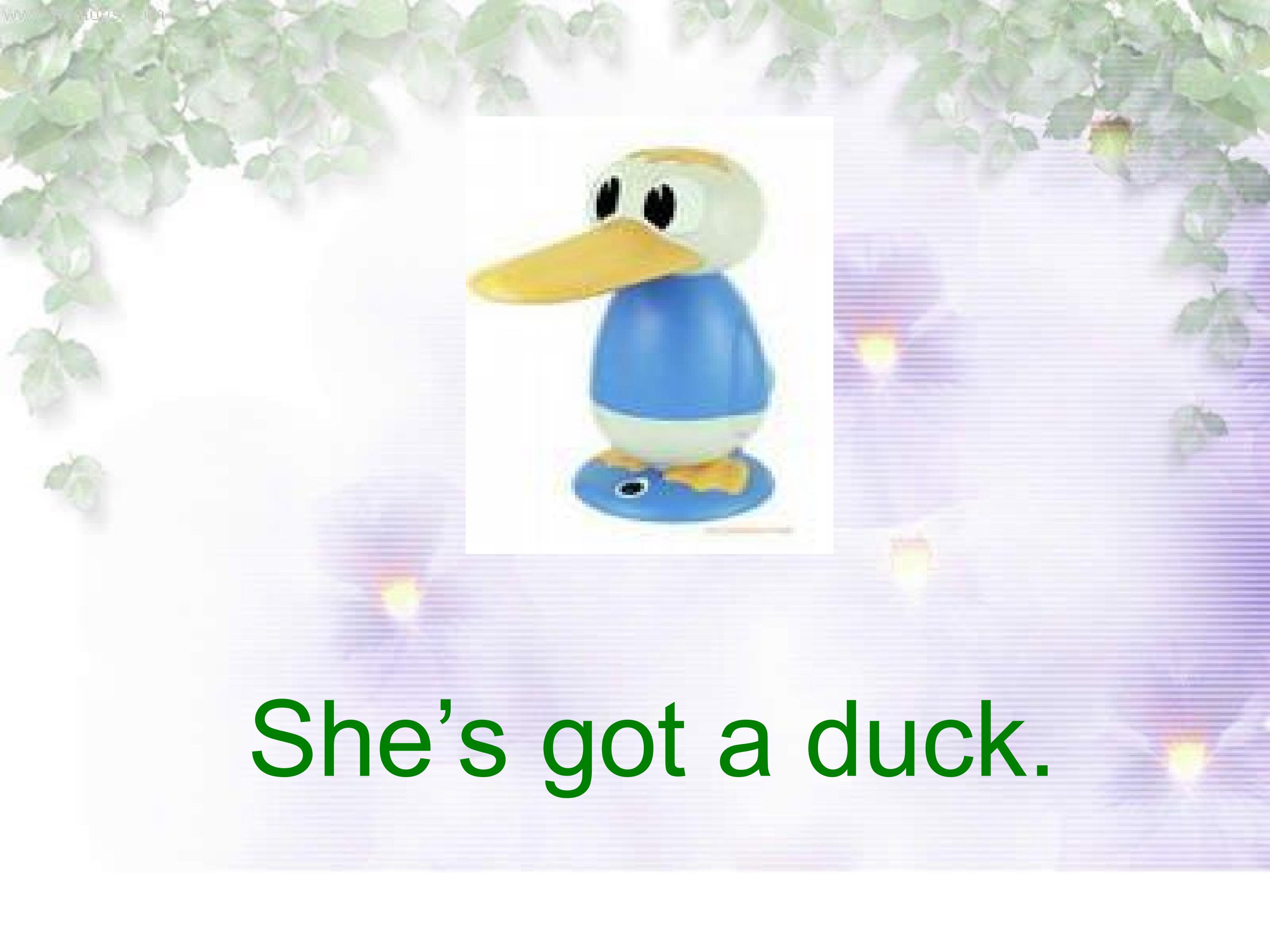 30.jpg