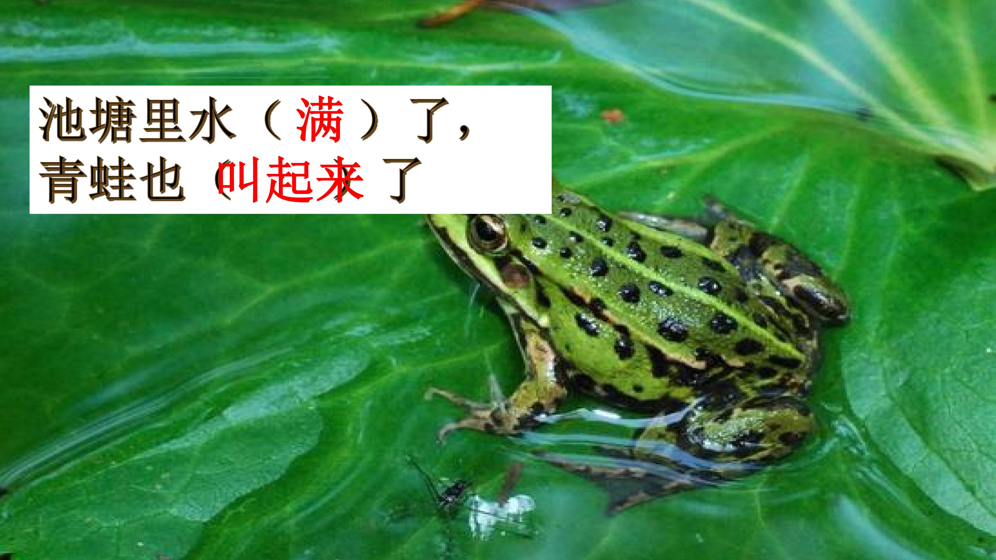 24.jpg