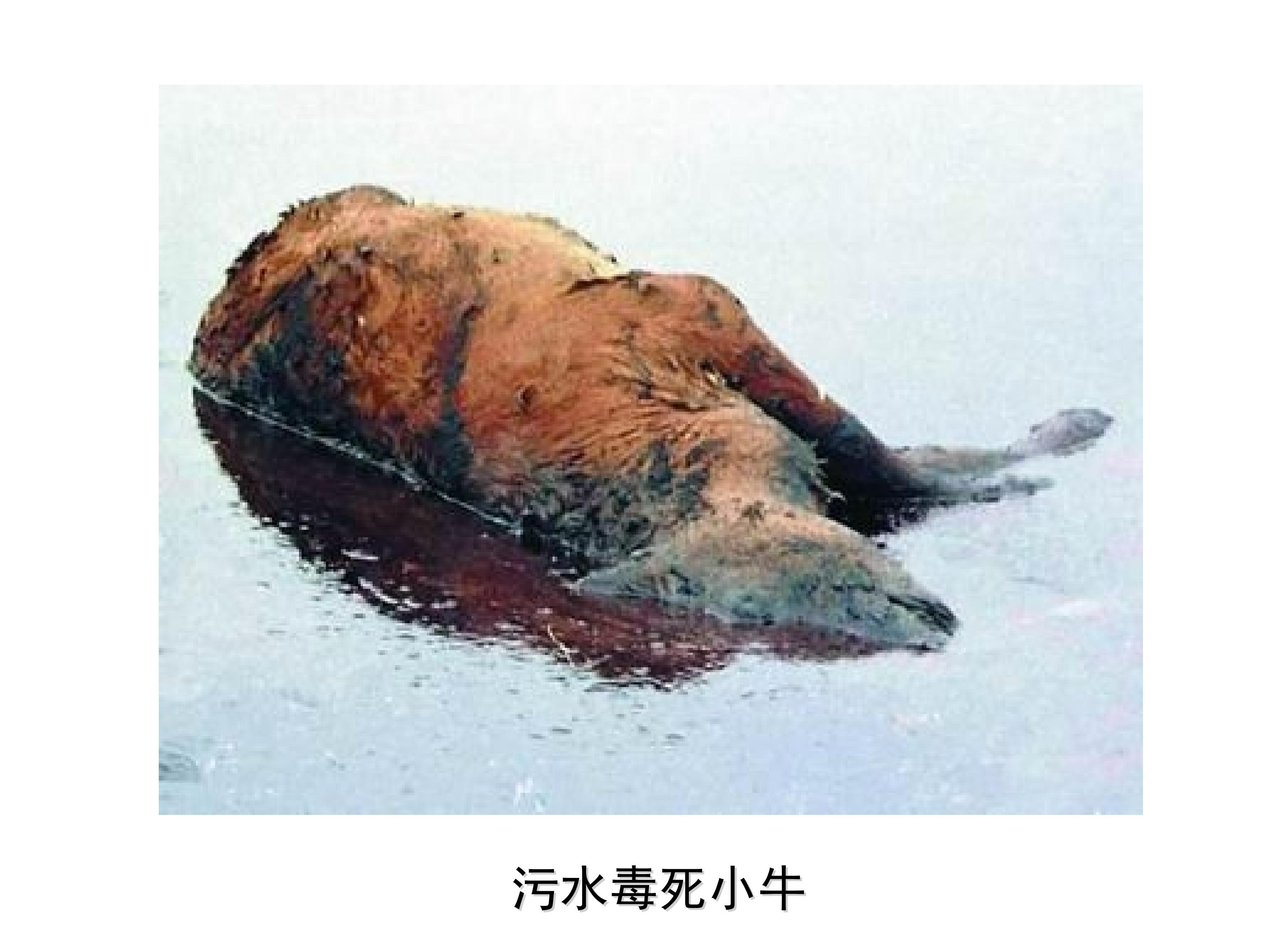 45.jpg