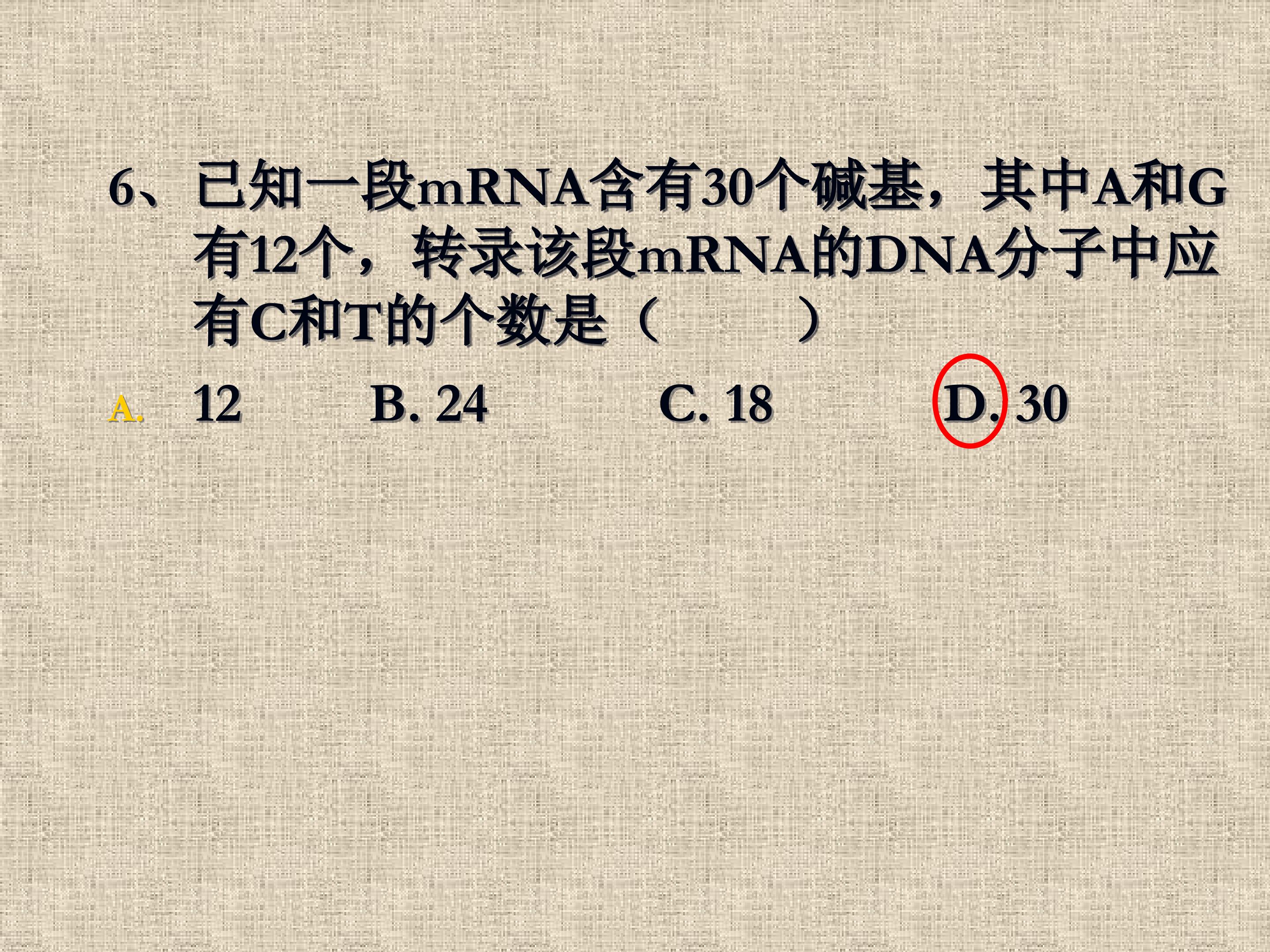 46.jpg