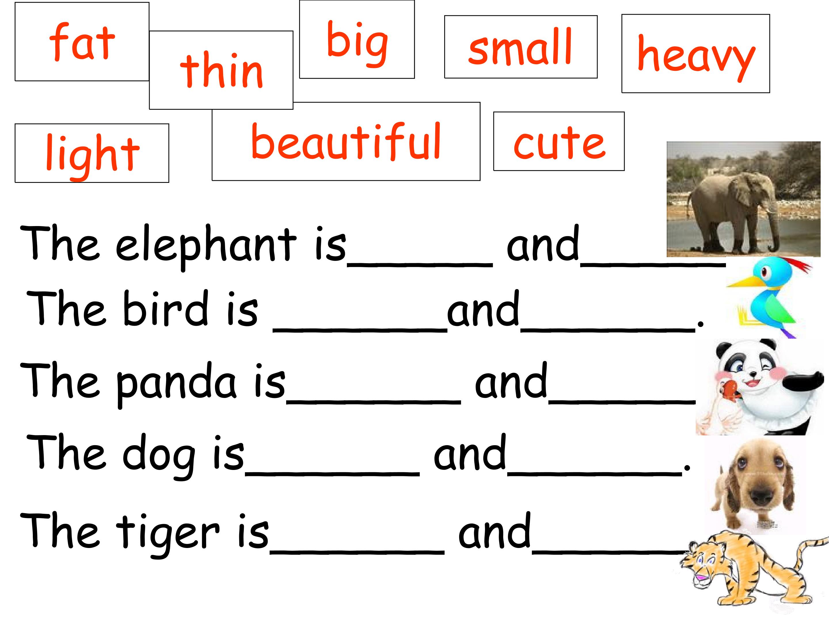 39.jpg