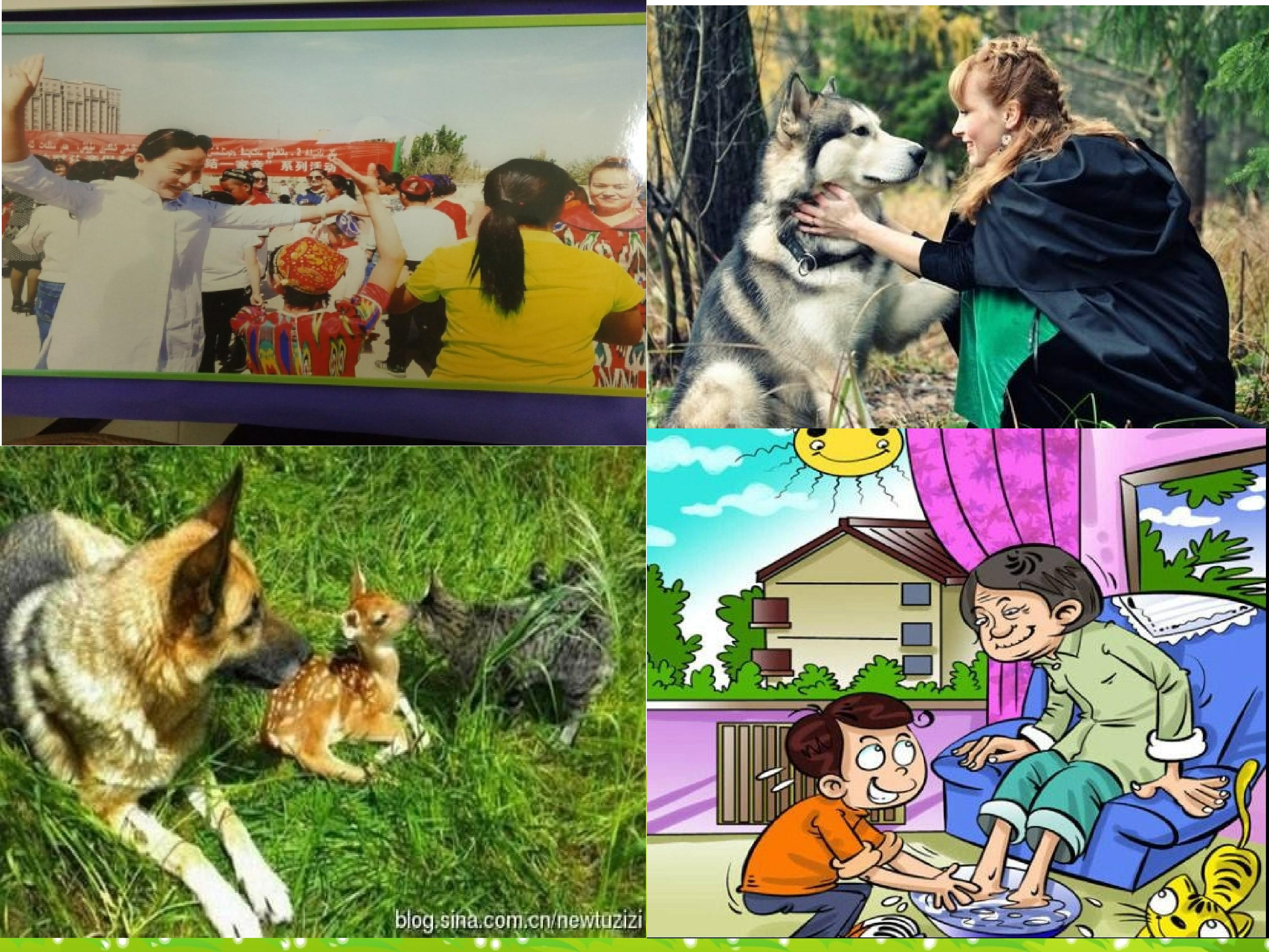 4.jpg