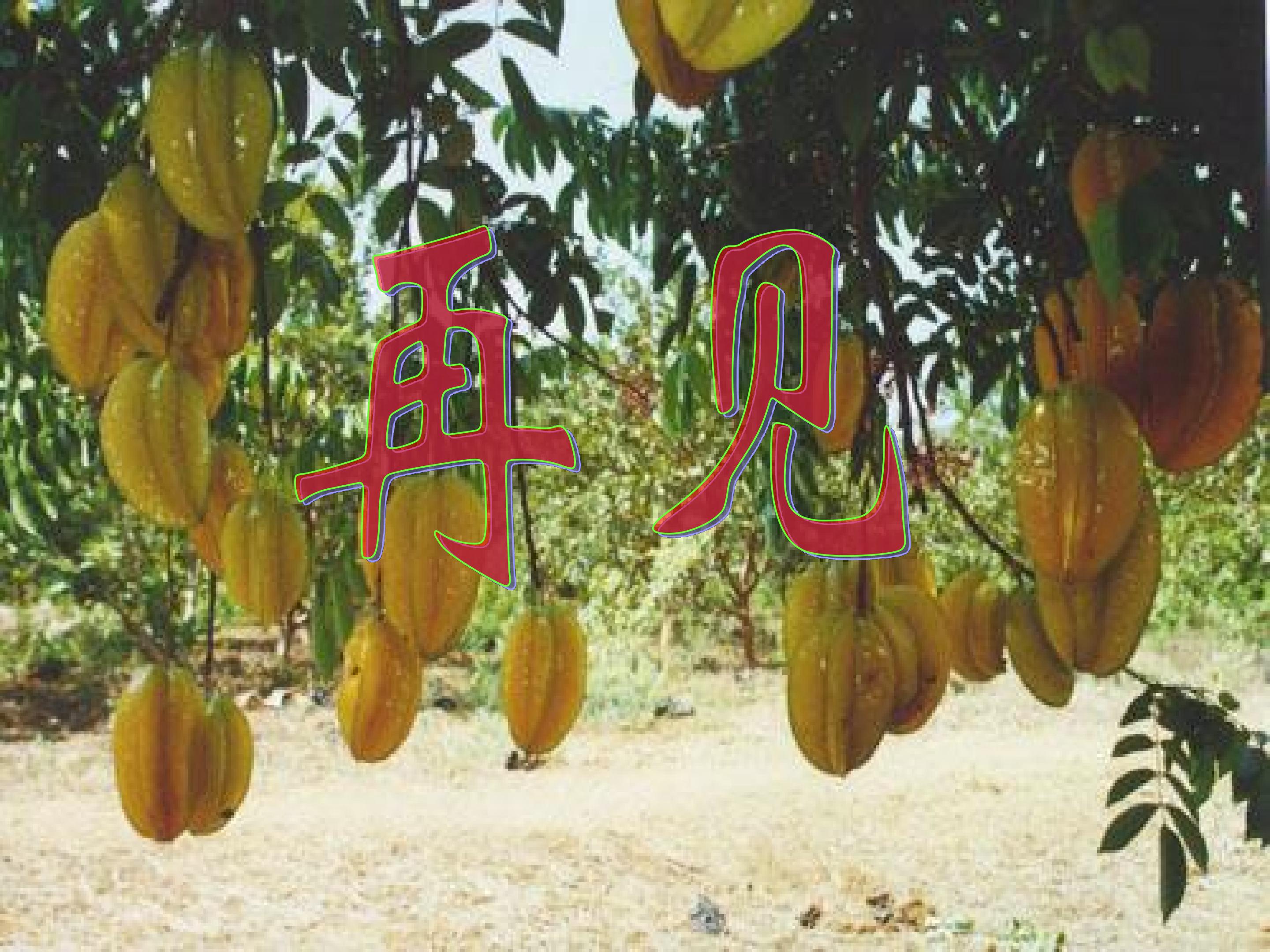 29.jpg