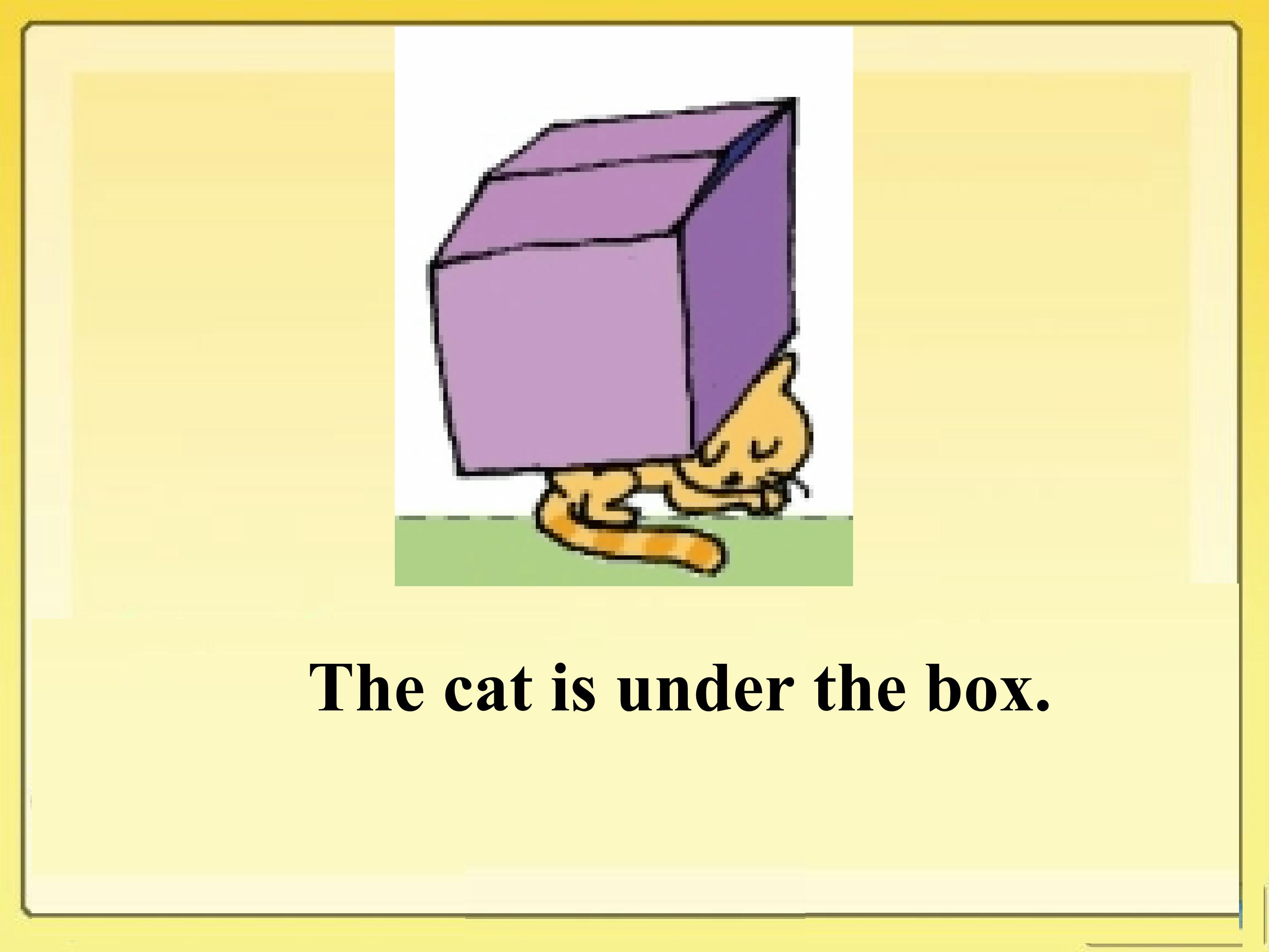 11.jpg