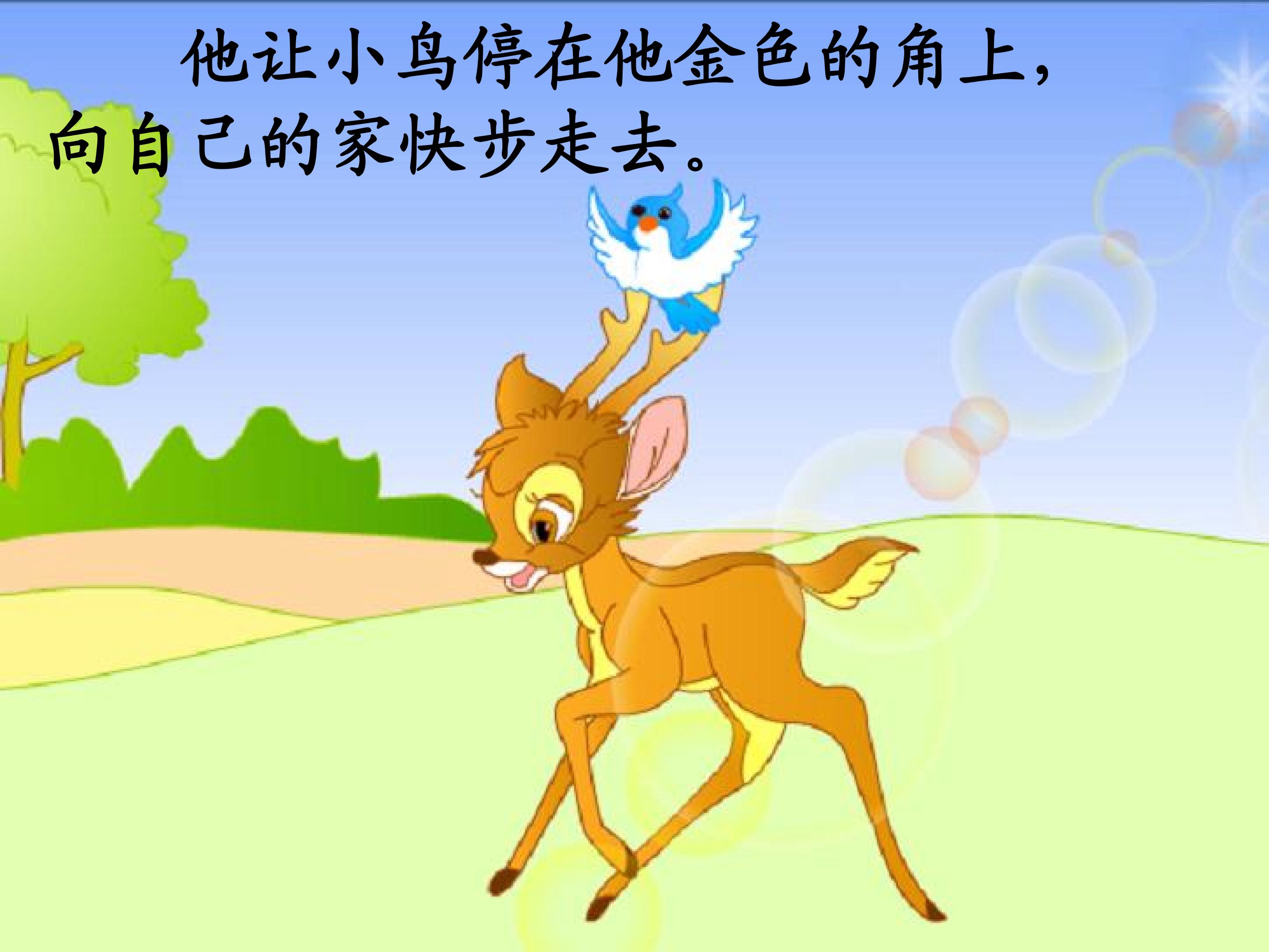 20.jpg
