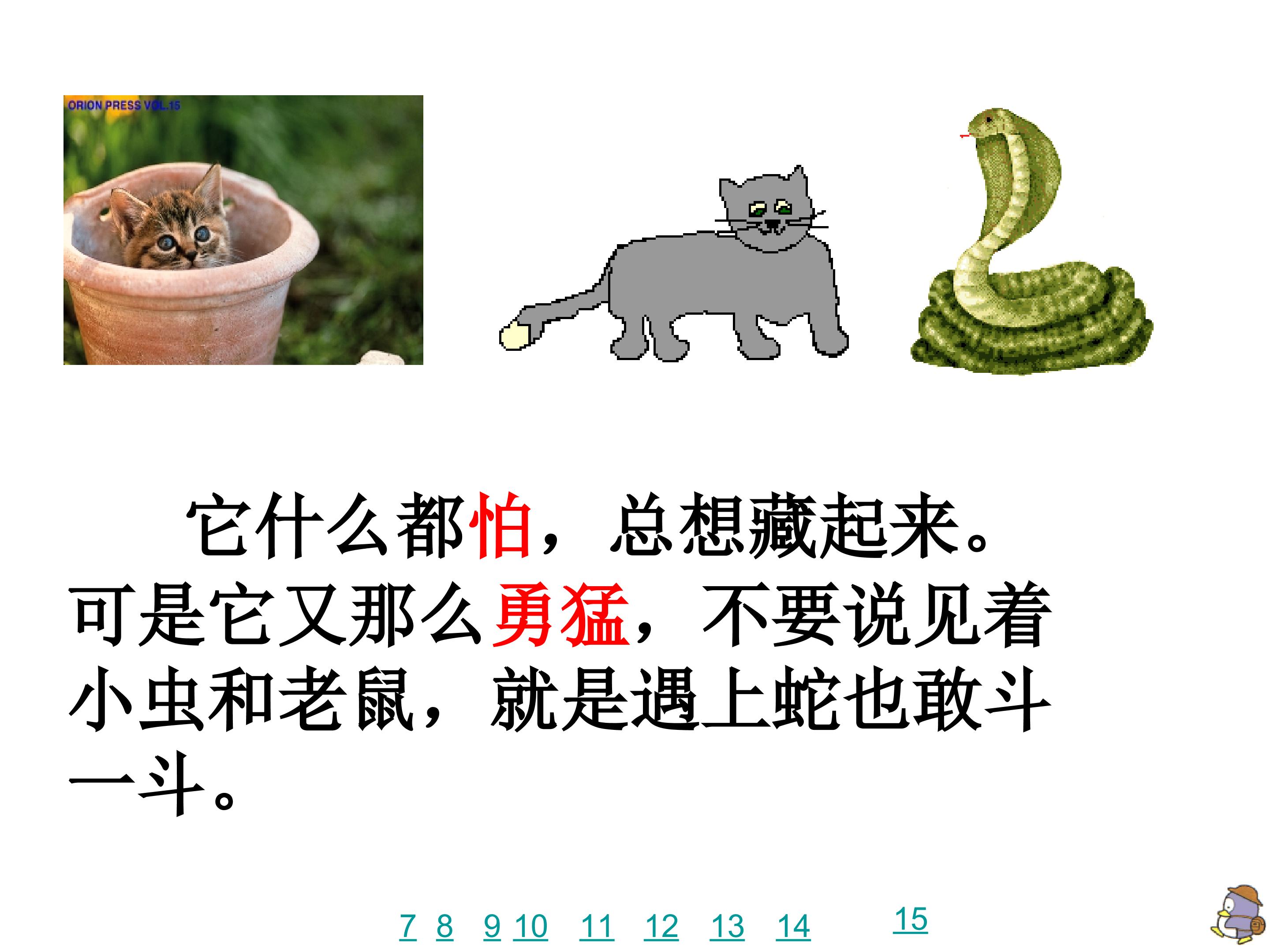 16.jpg