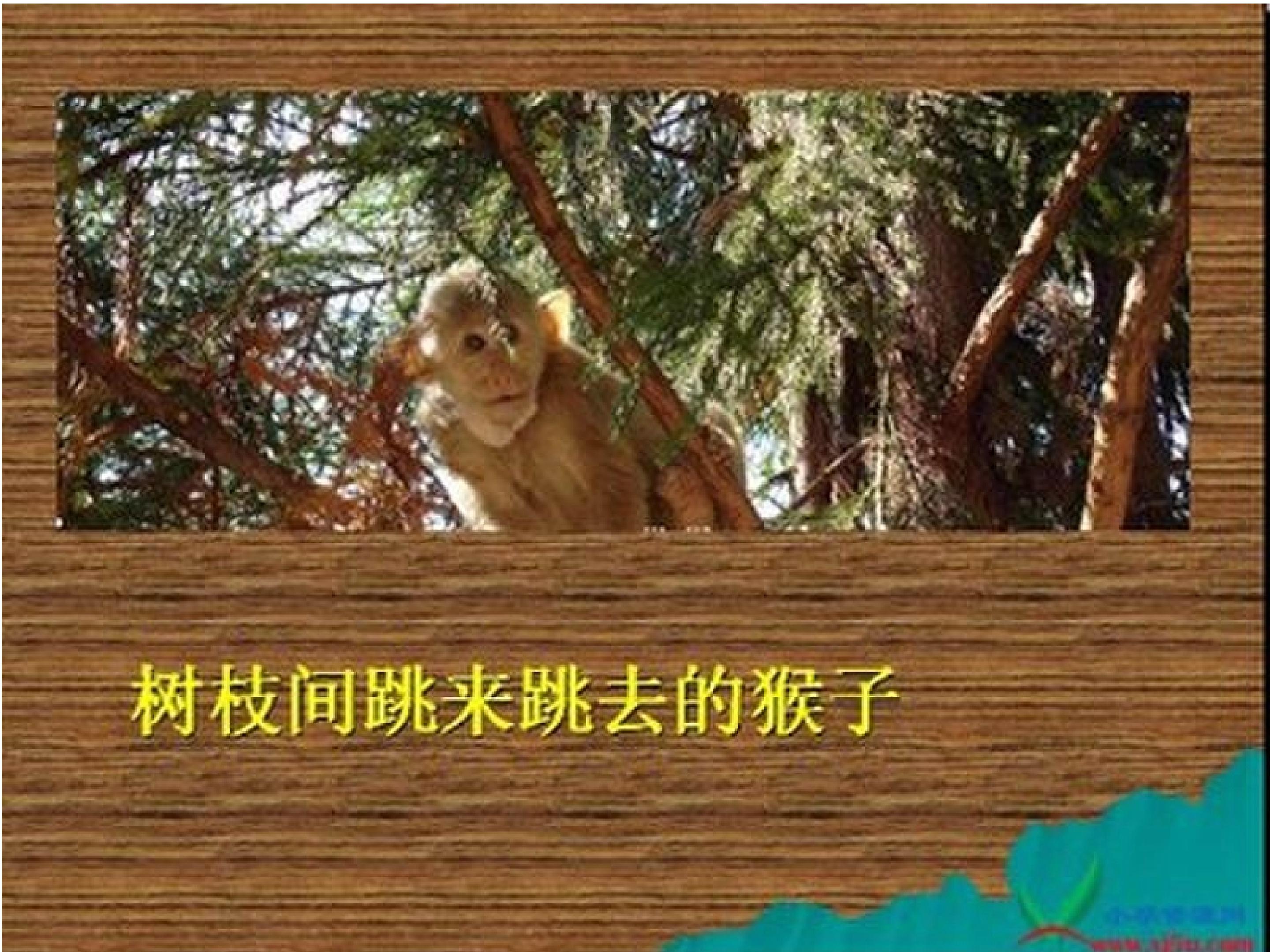 30.jpg