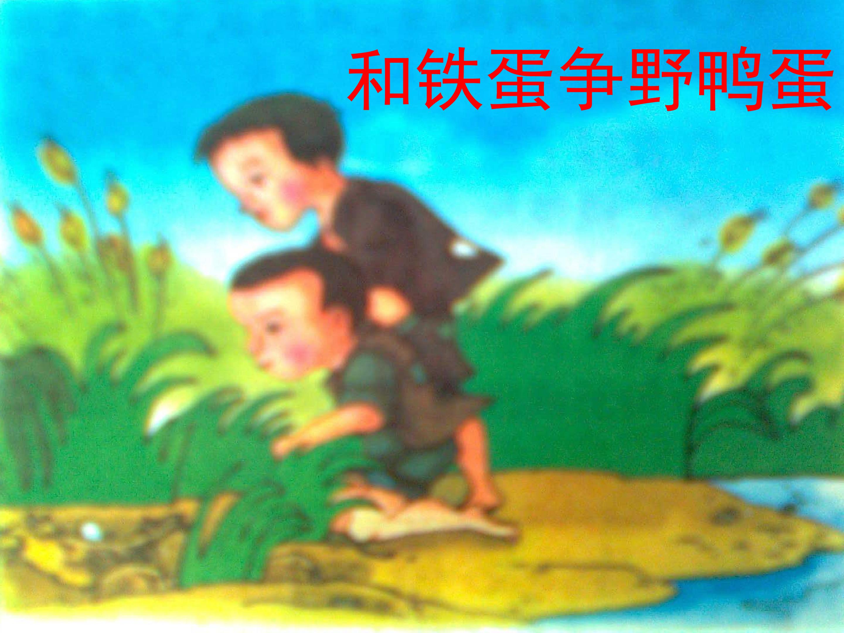 9.jpg