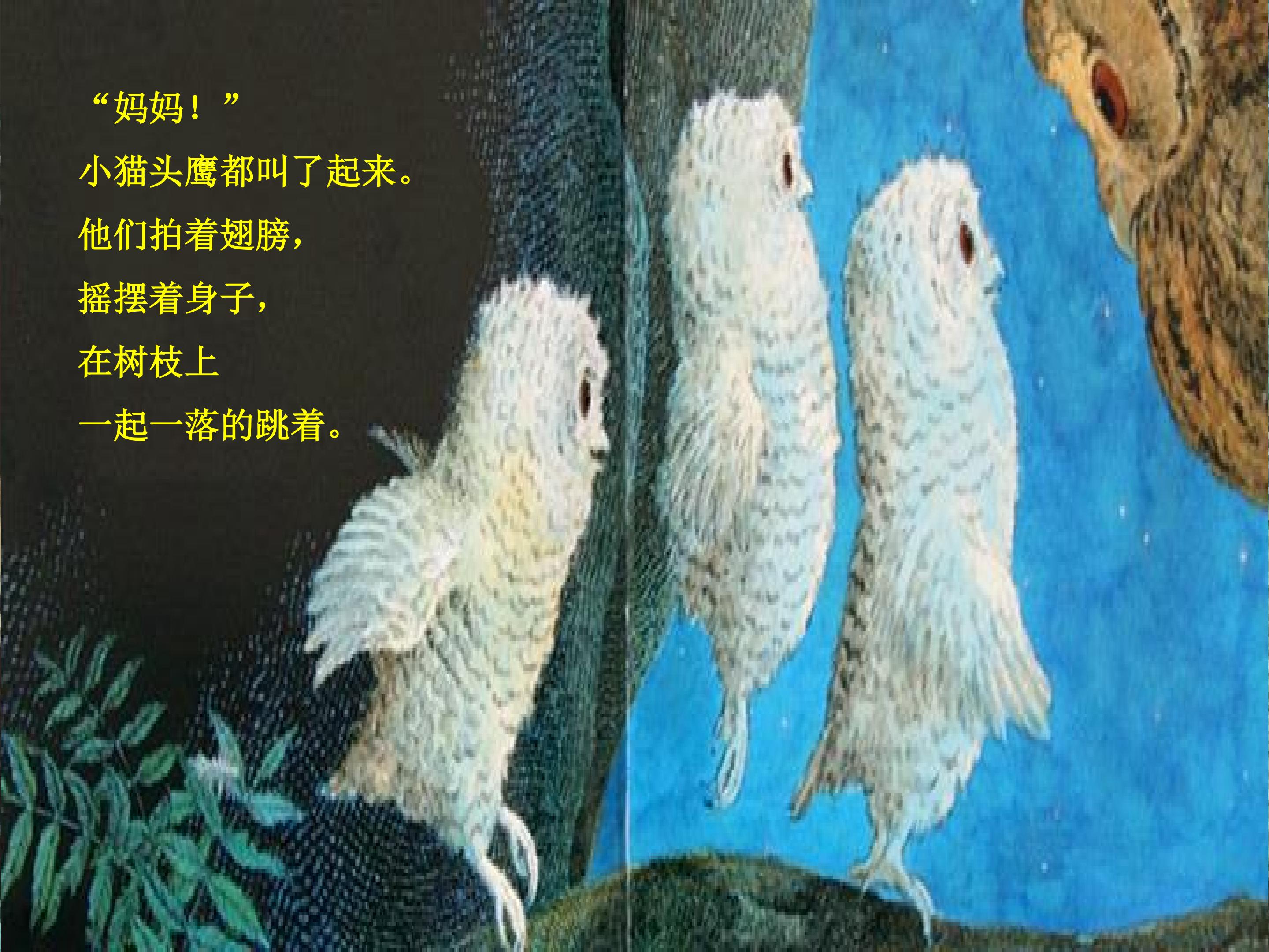 55.jpg