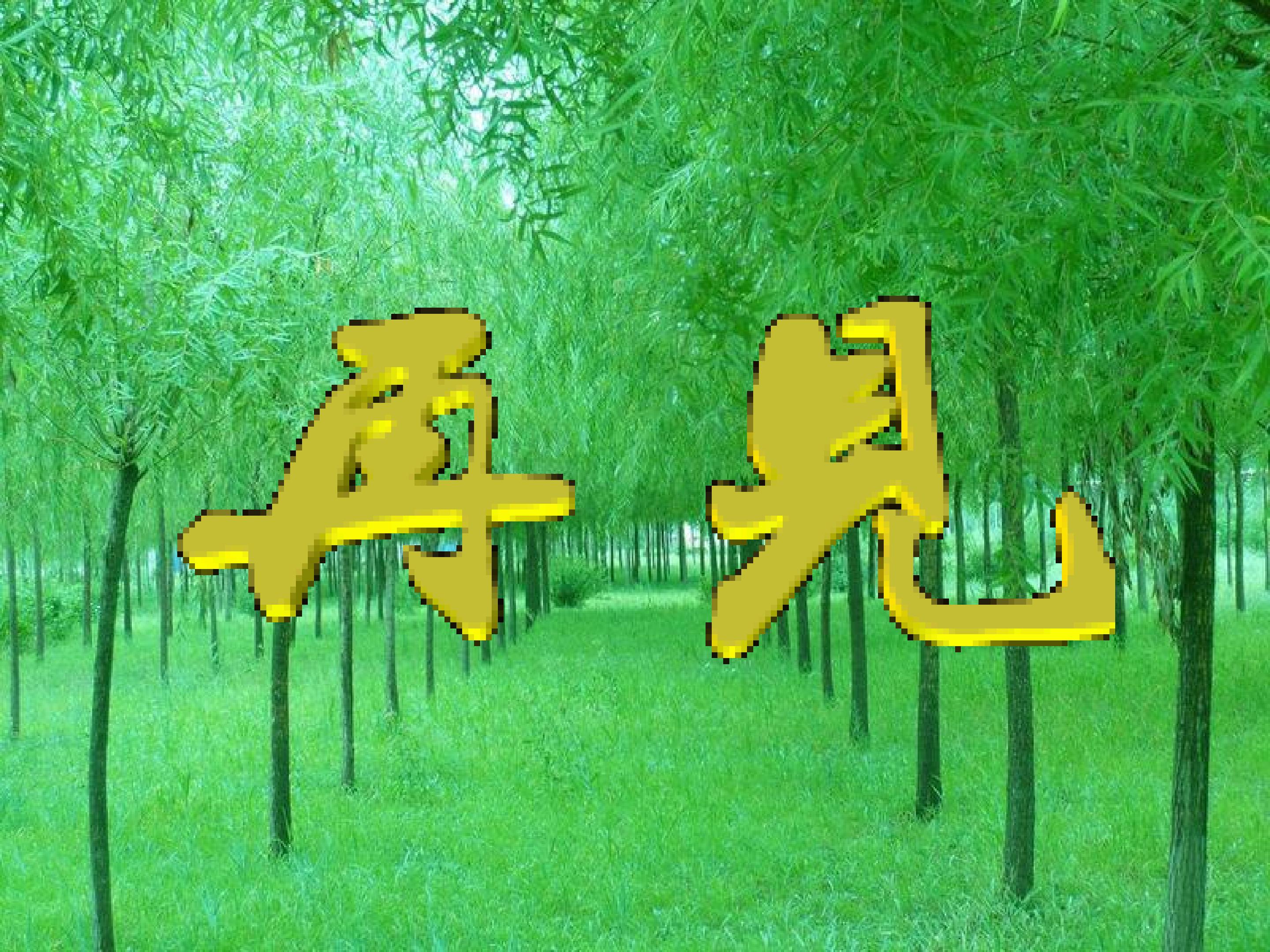 15.jpg