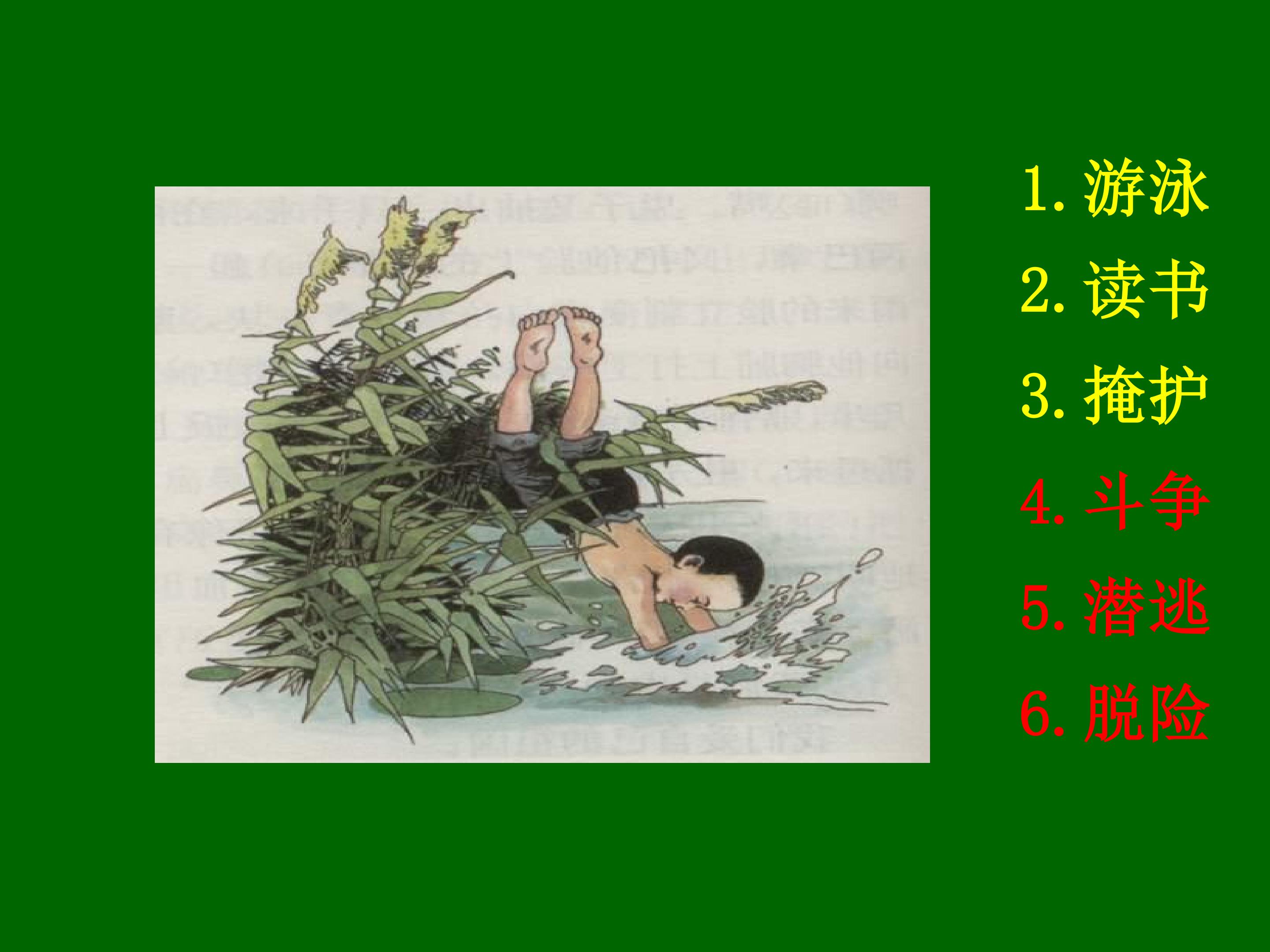 8.jpg