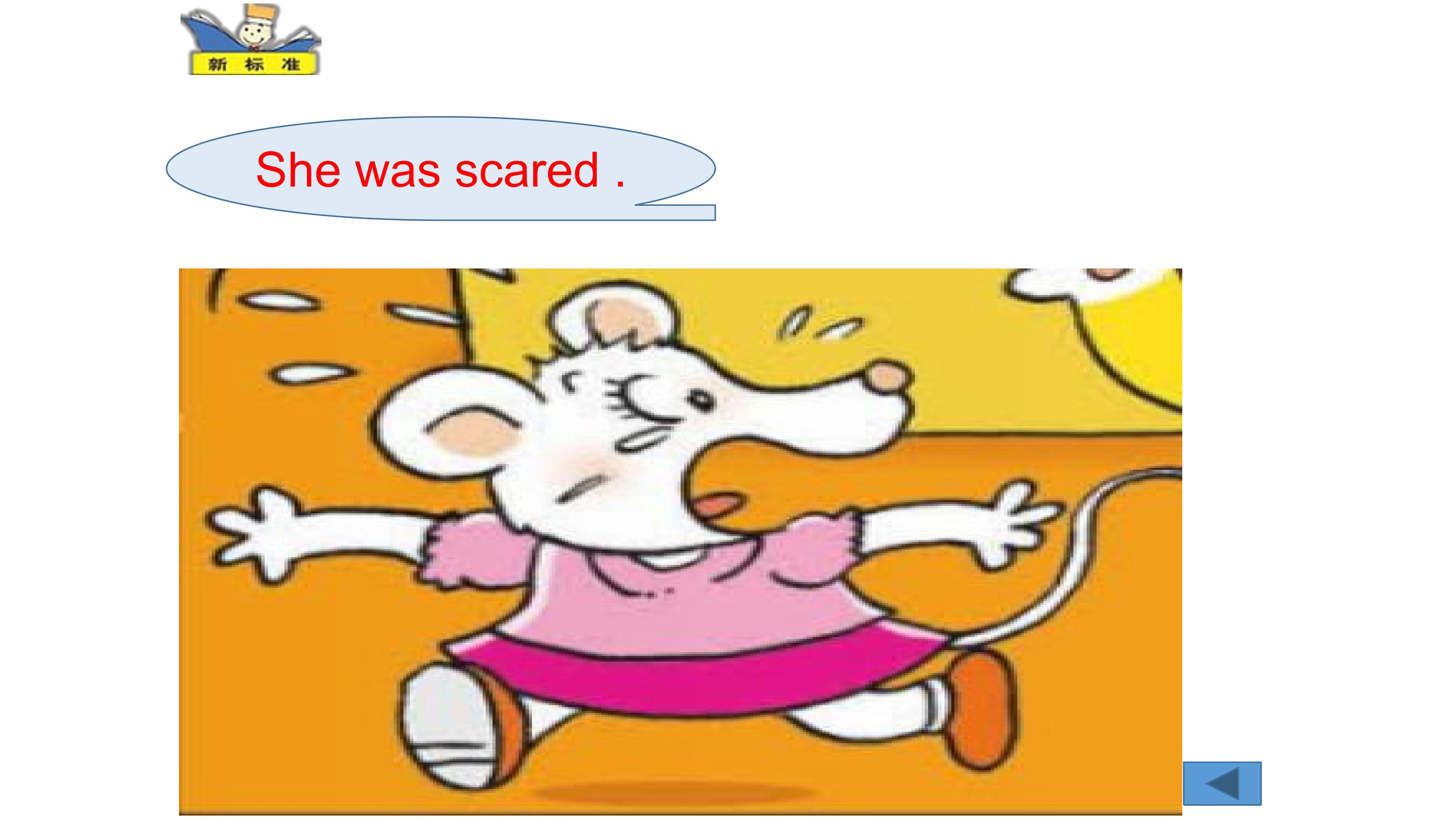 28.jpg