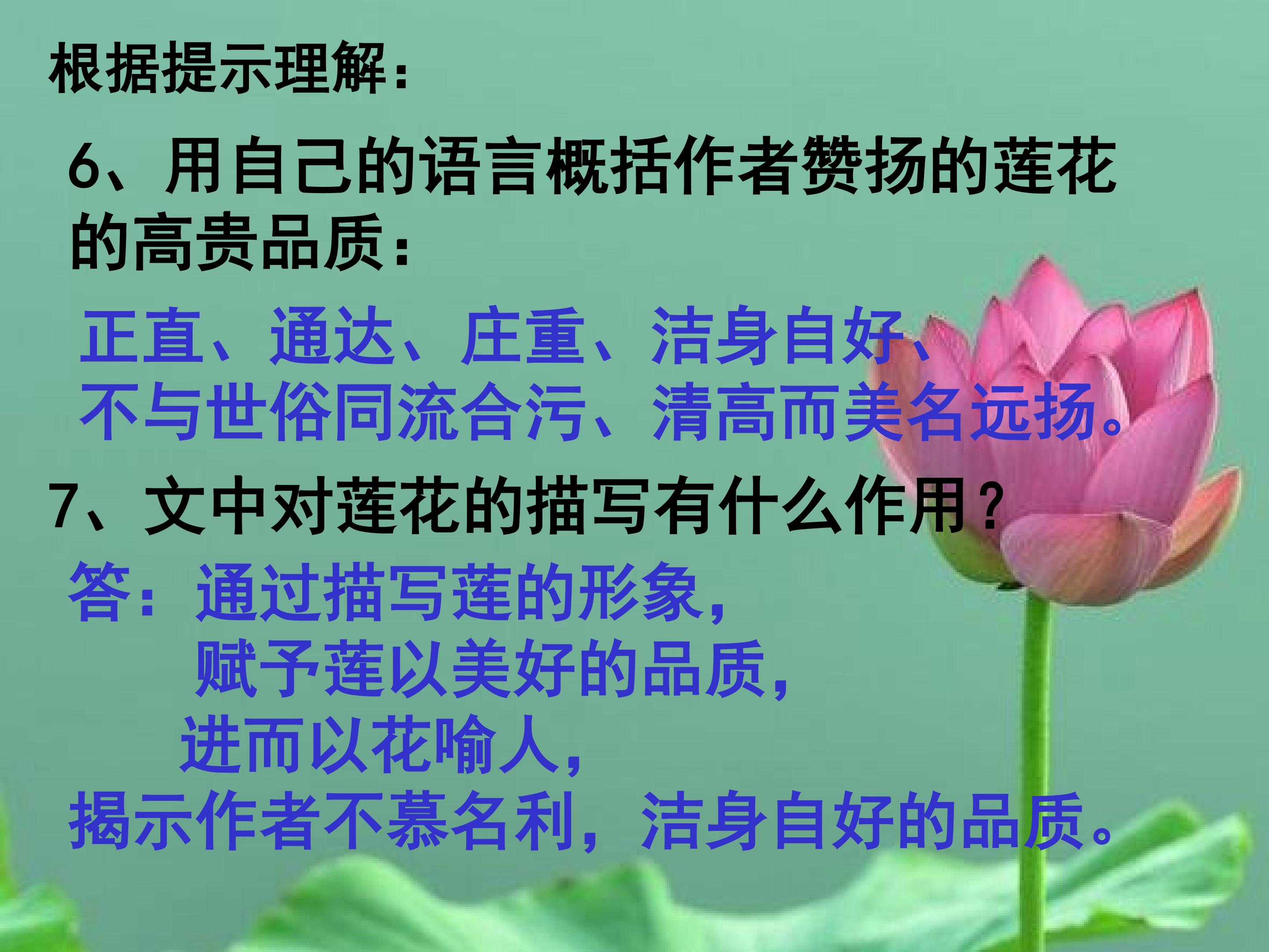 37.jpg