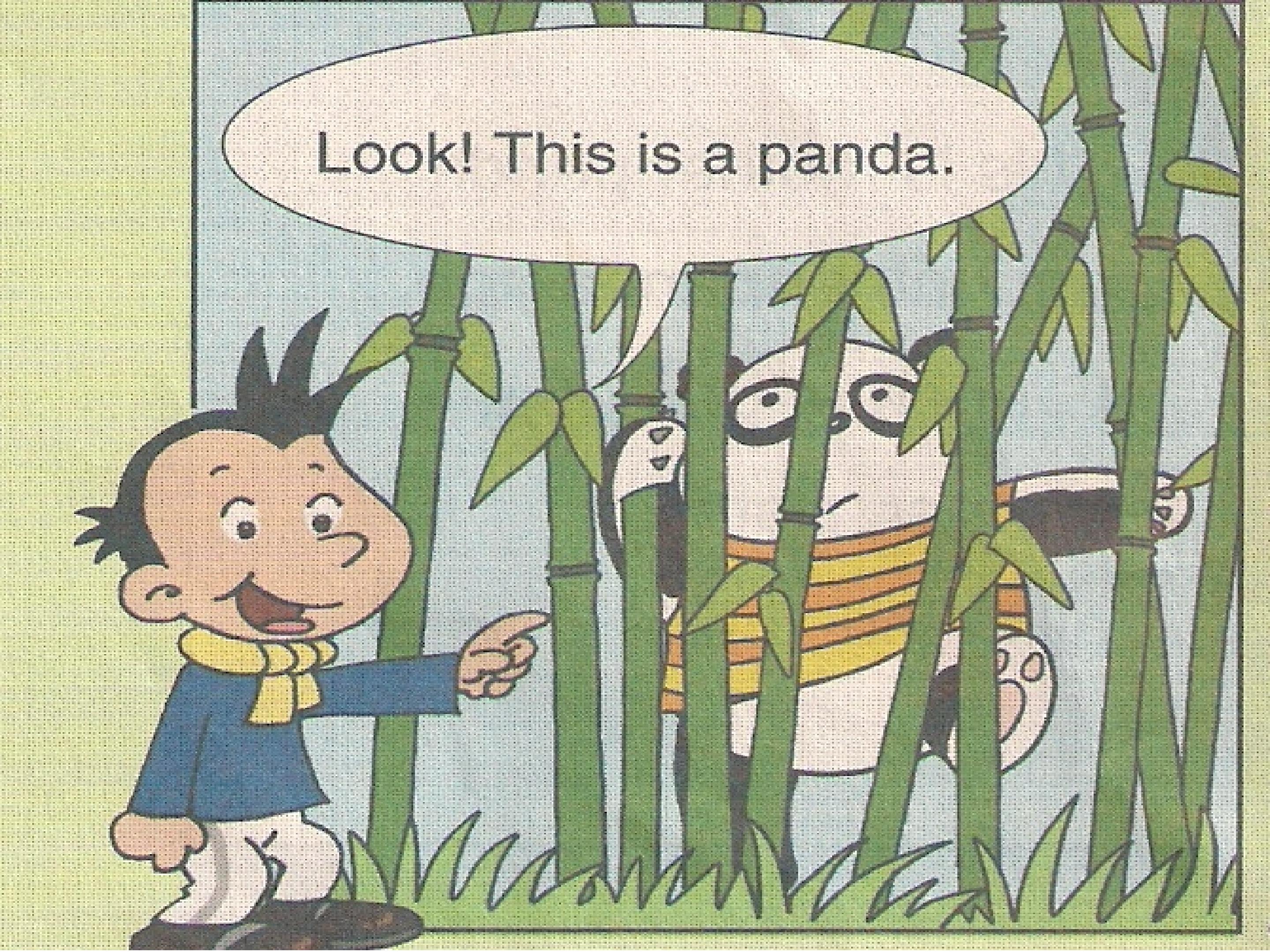 20.jpg