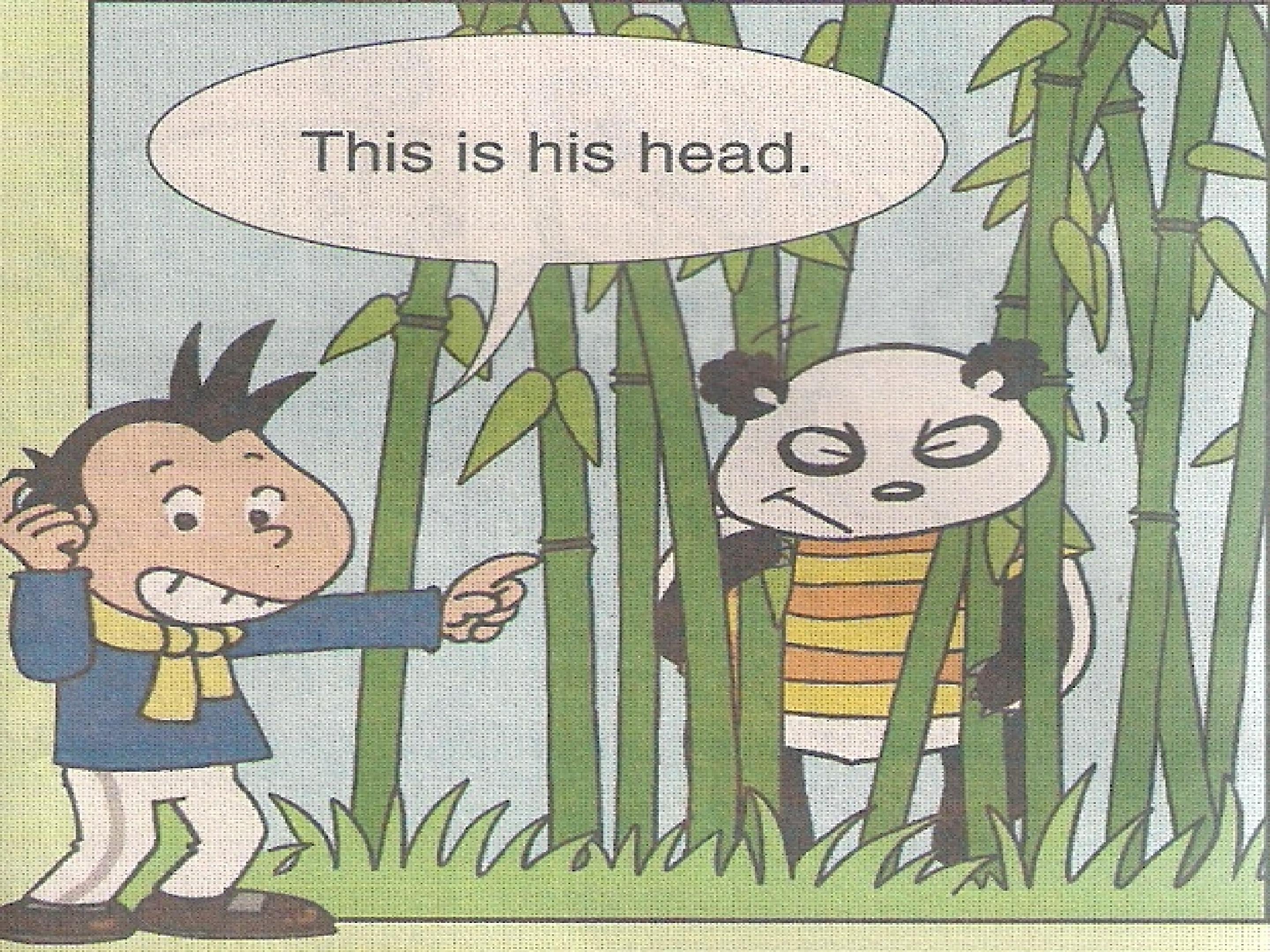 21.jpg