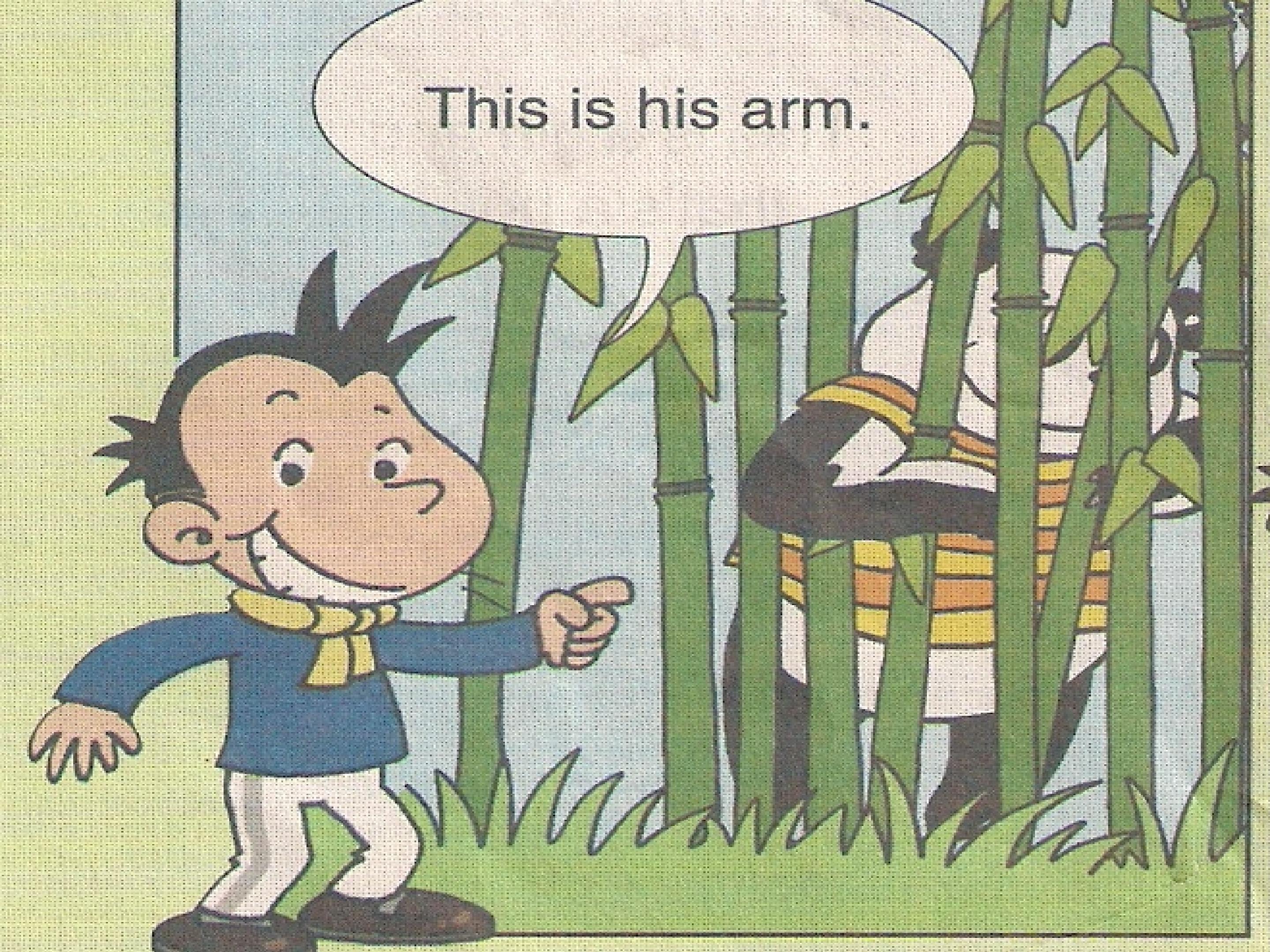 22.jpg