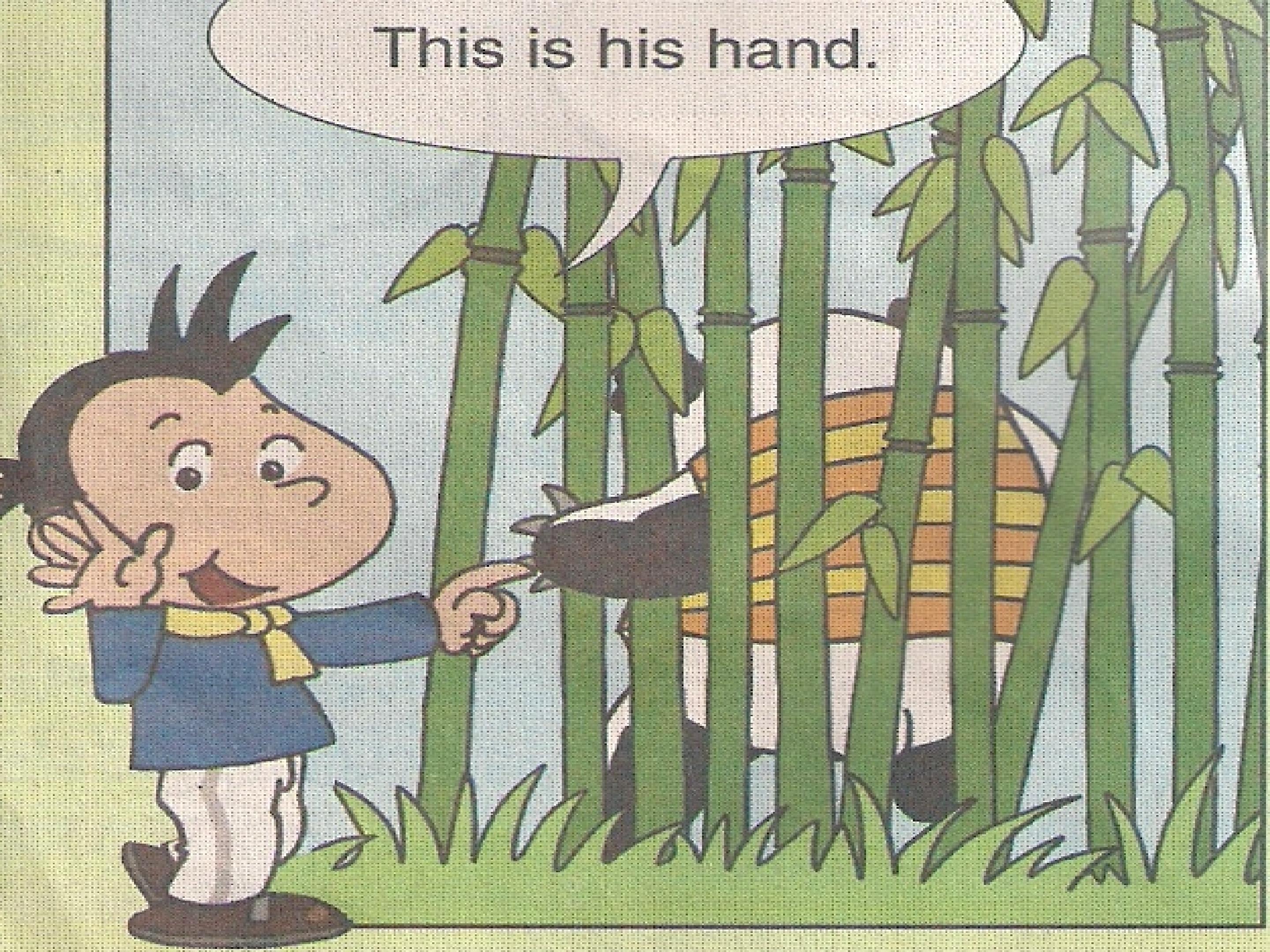 23.jpg