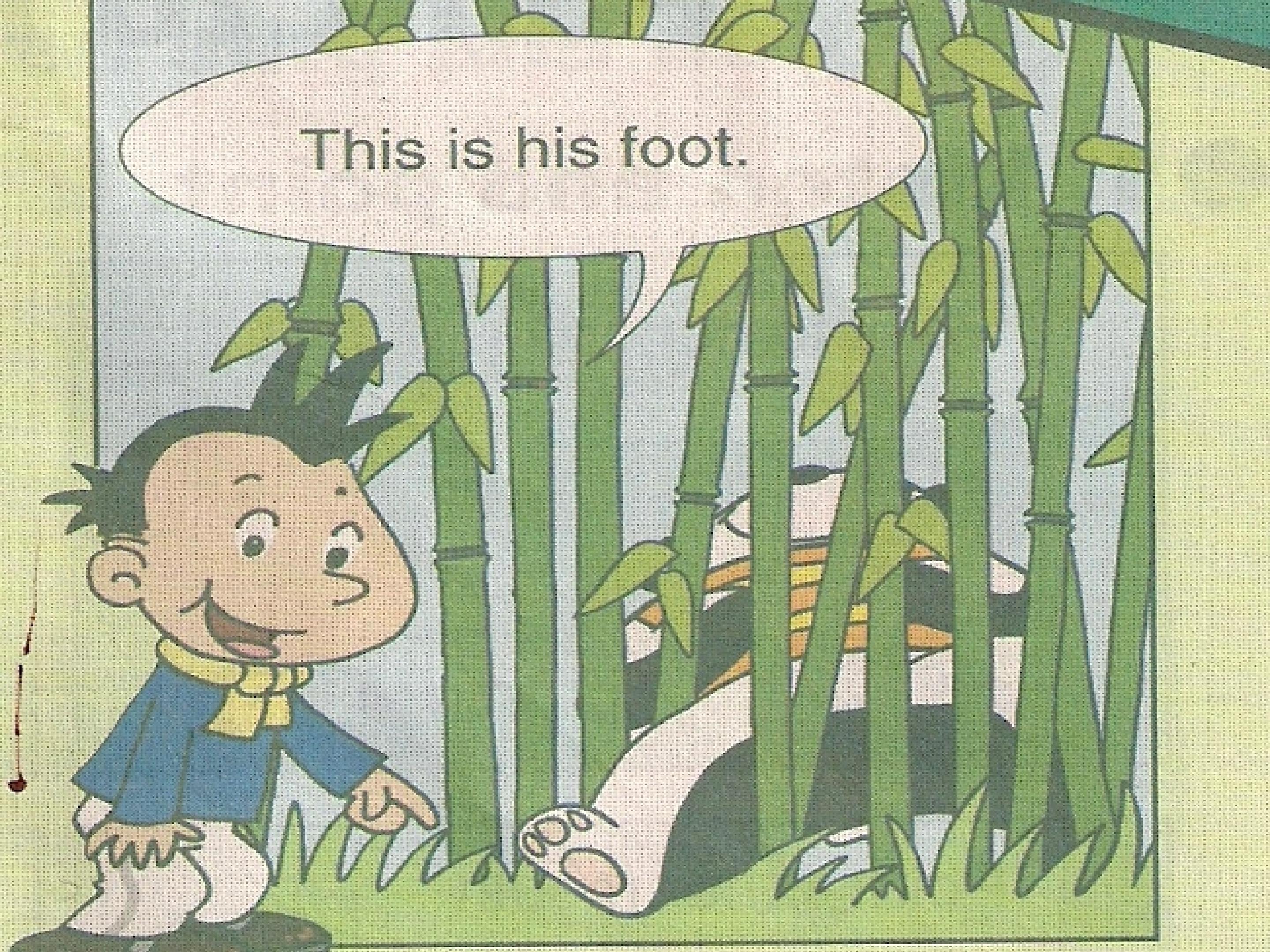 25.jpg