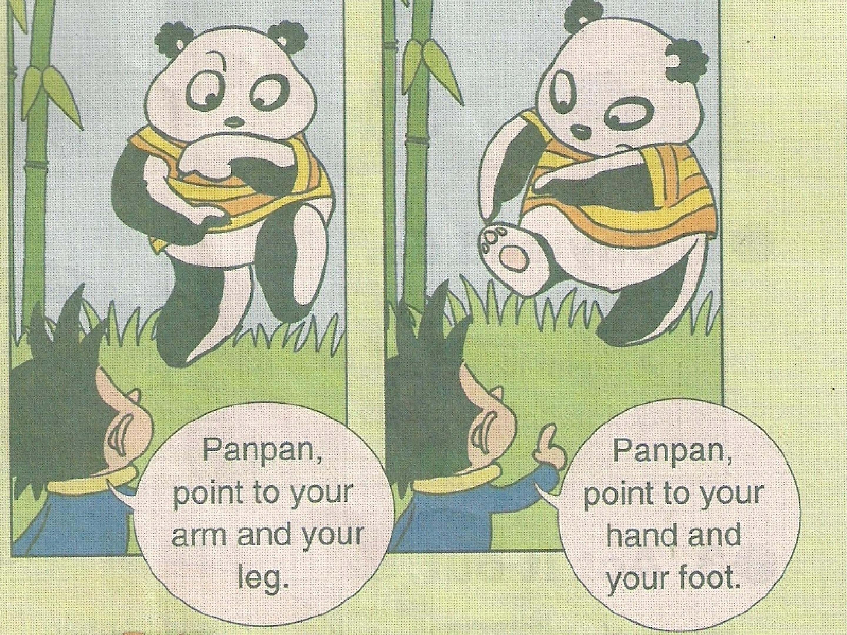 27.jpg