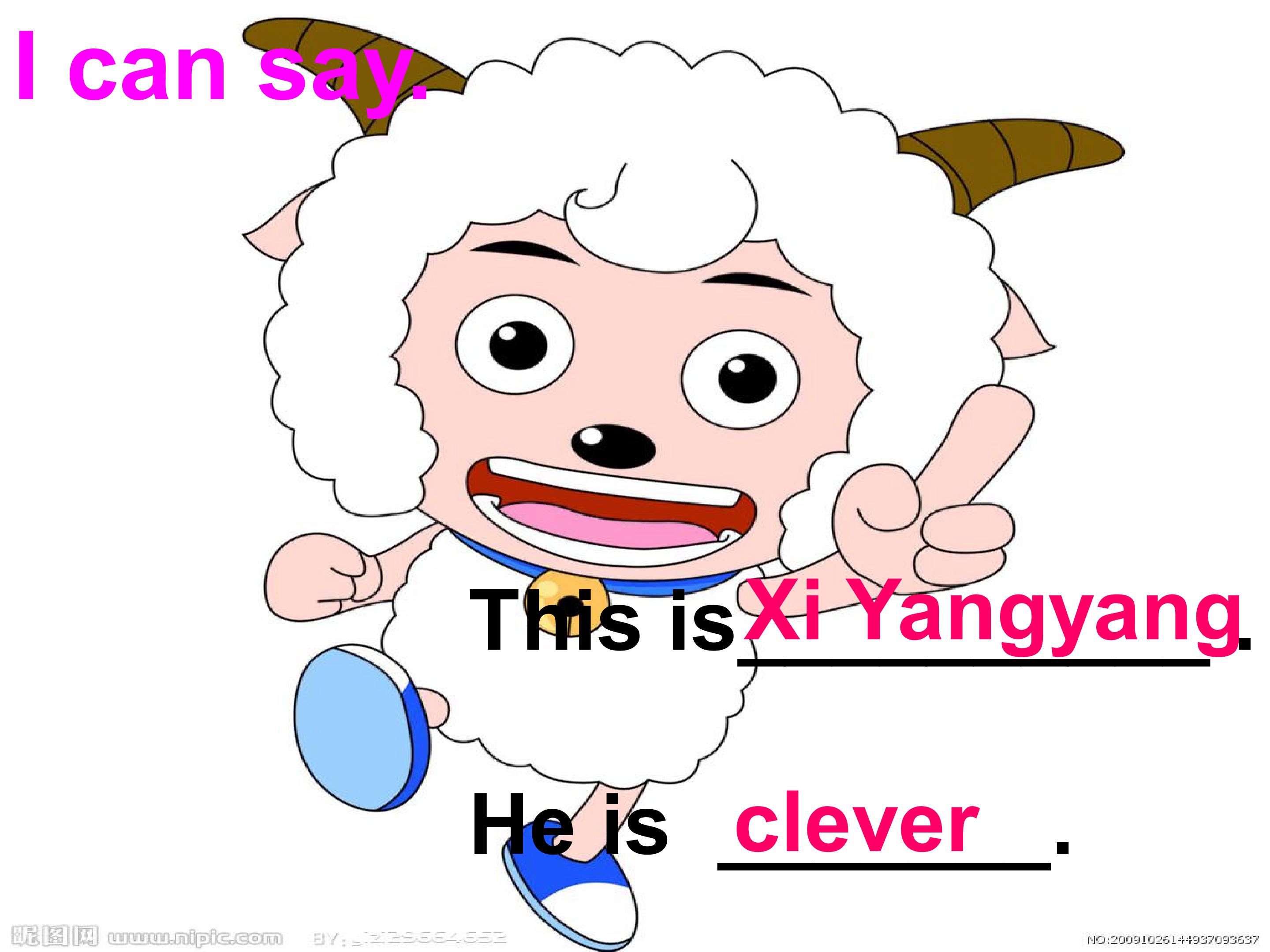 13.jpg