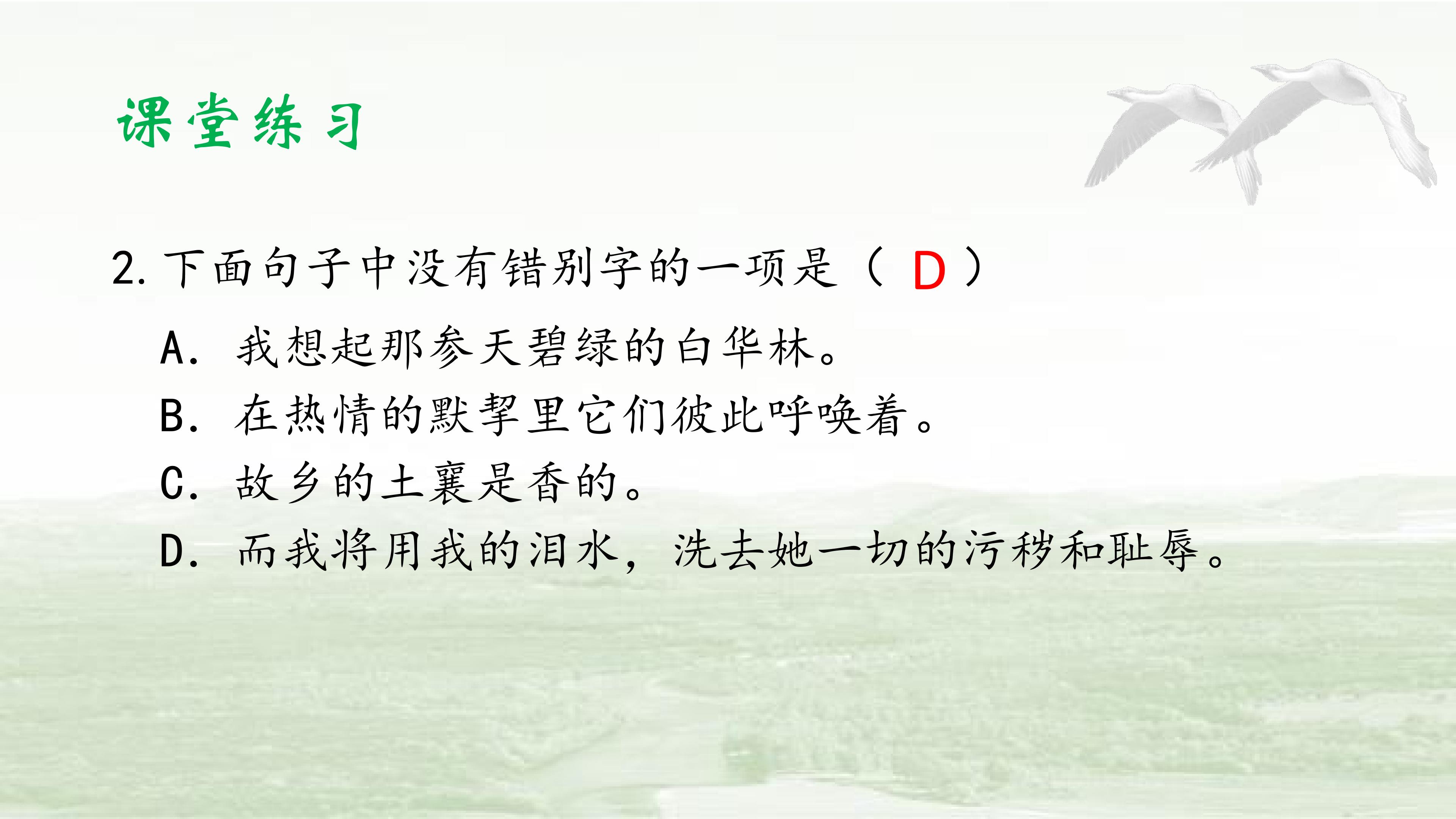 39.jpg