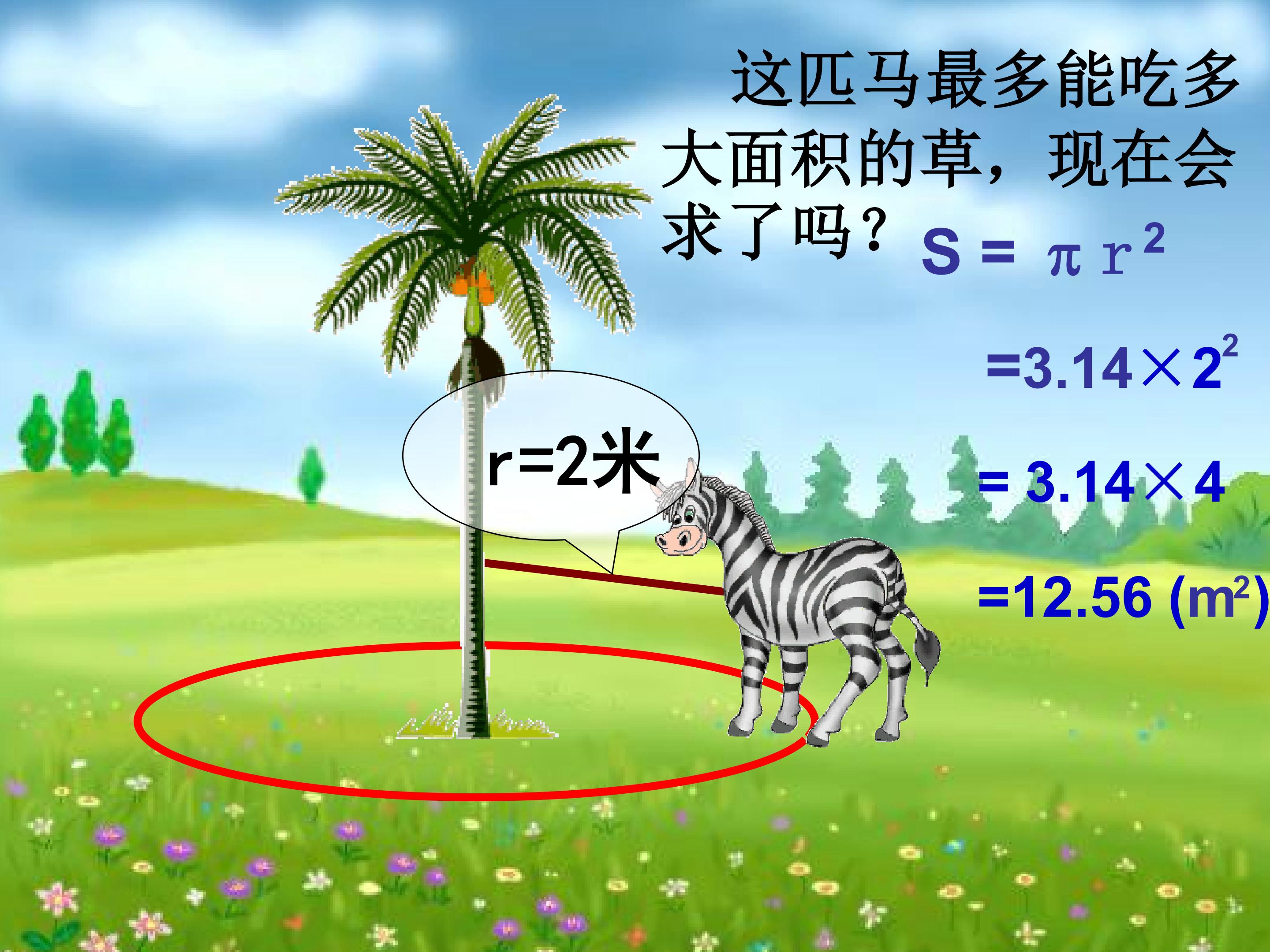 122.jpg