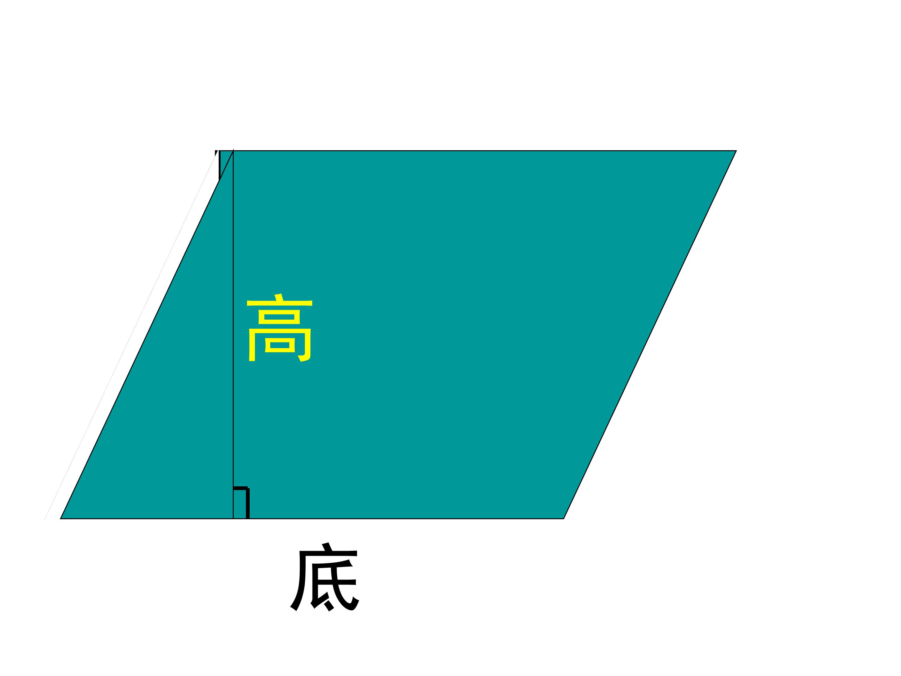 54.jpg