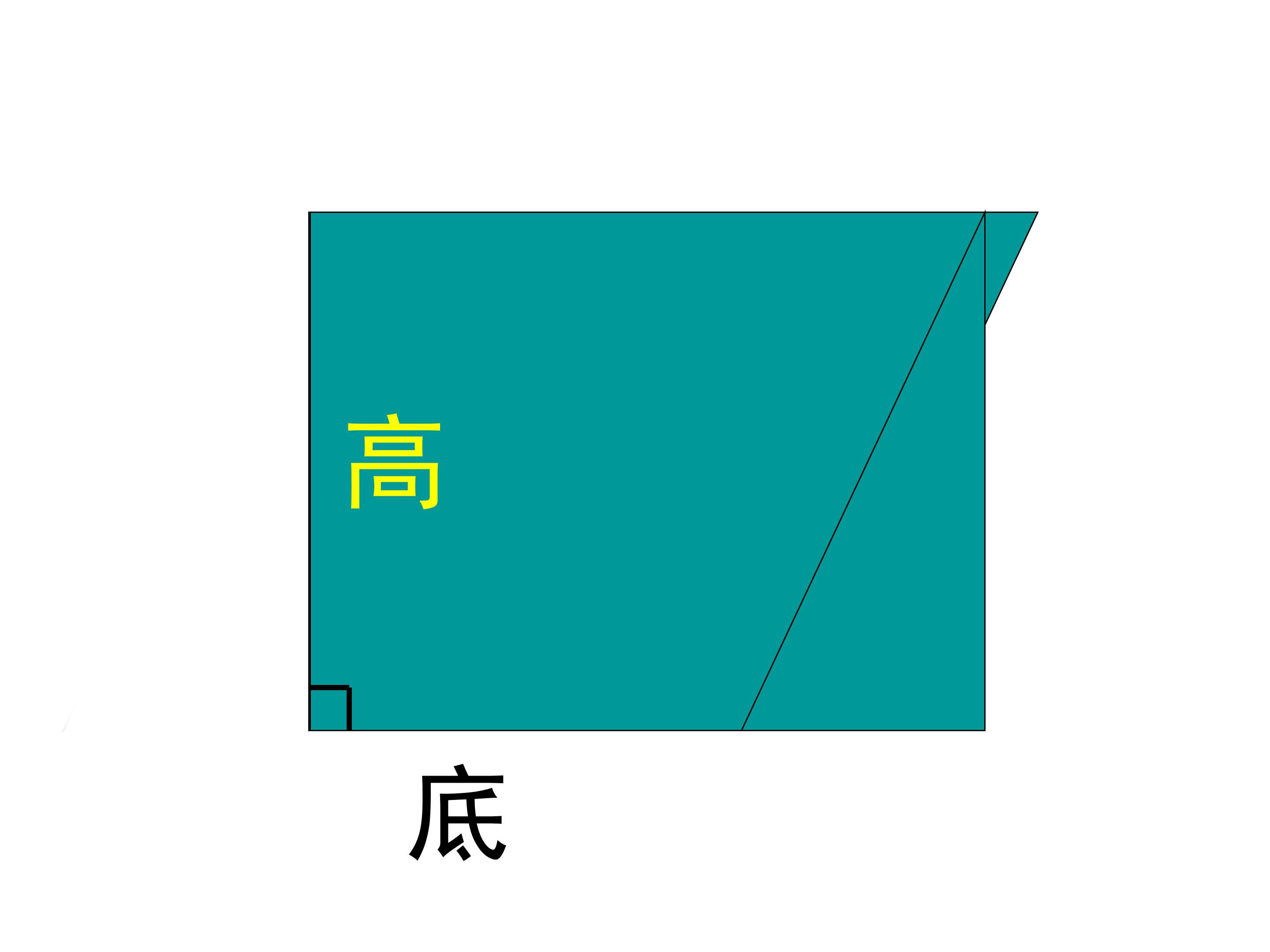 81.jpg