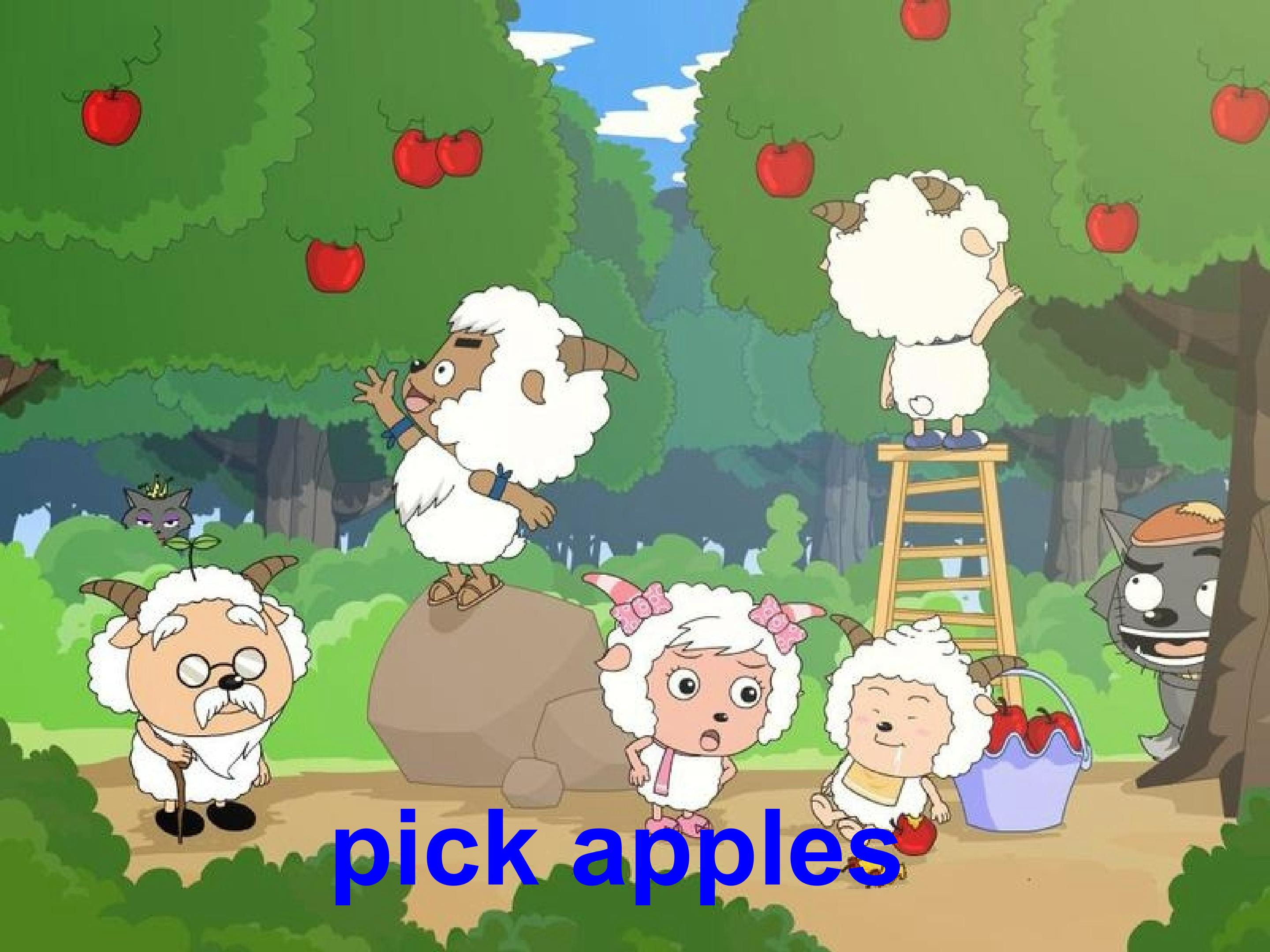 21.jpg
