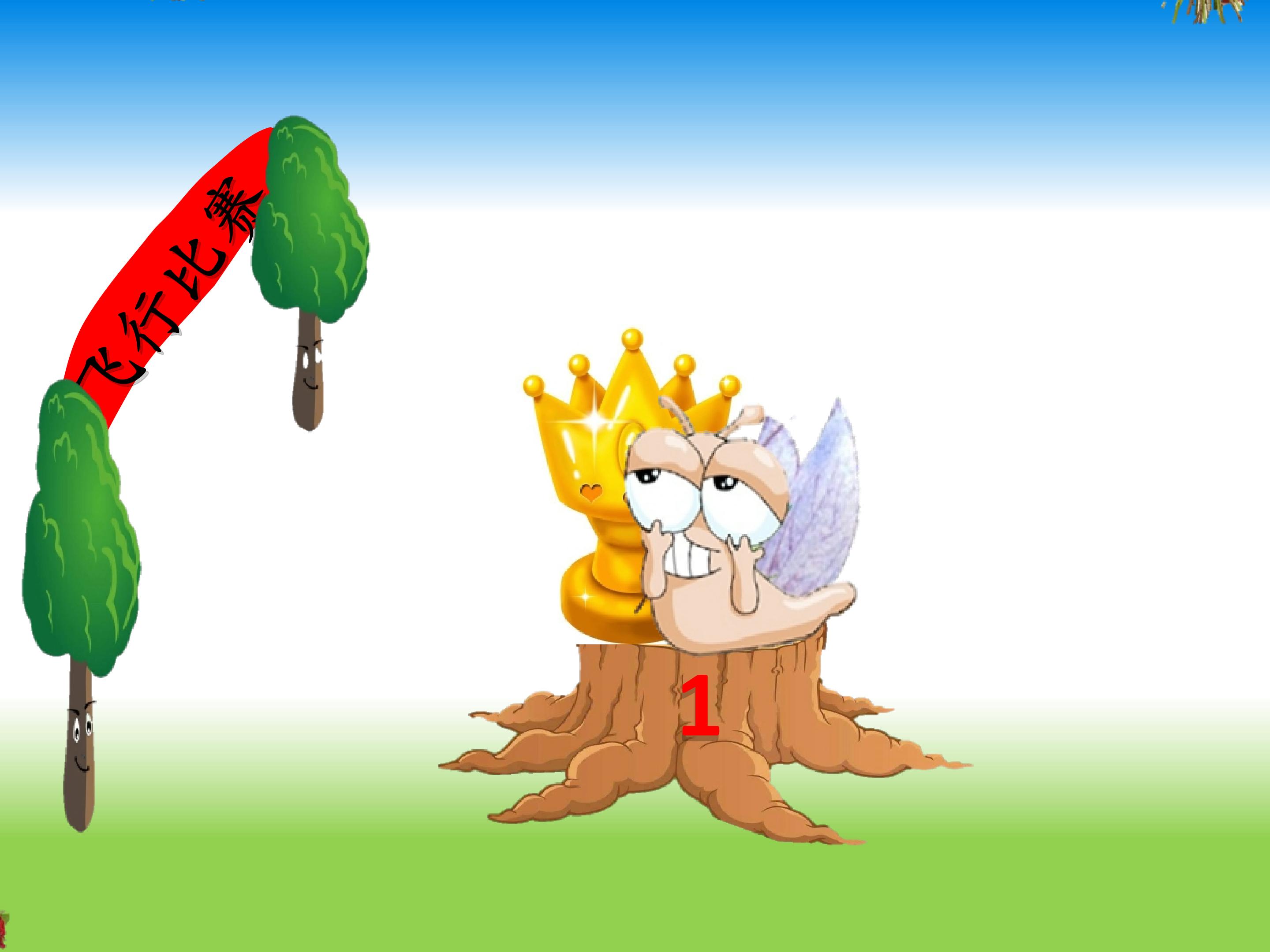 17.jpg