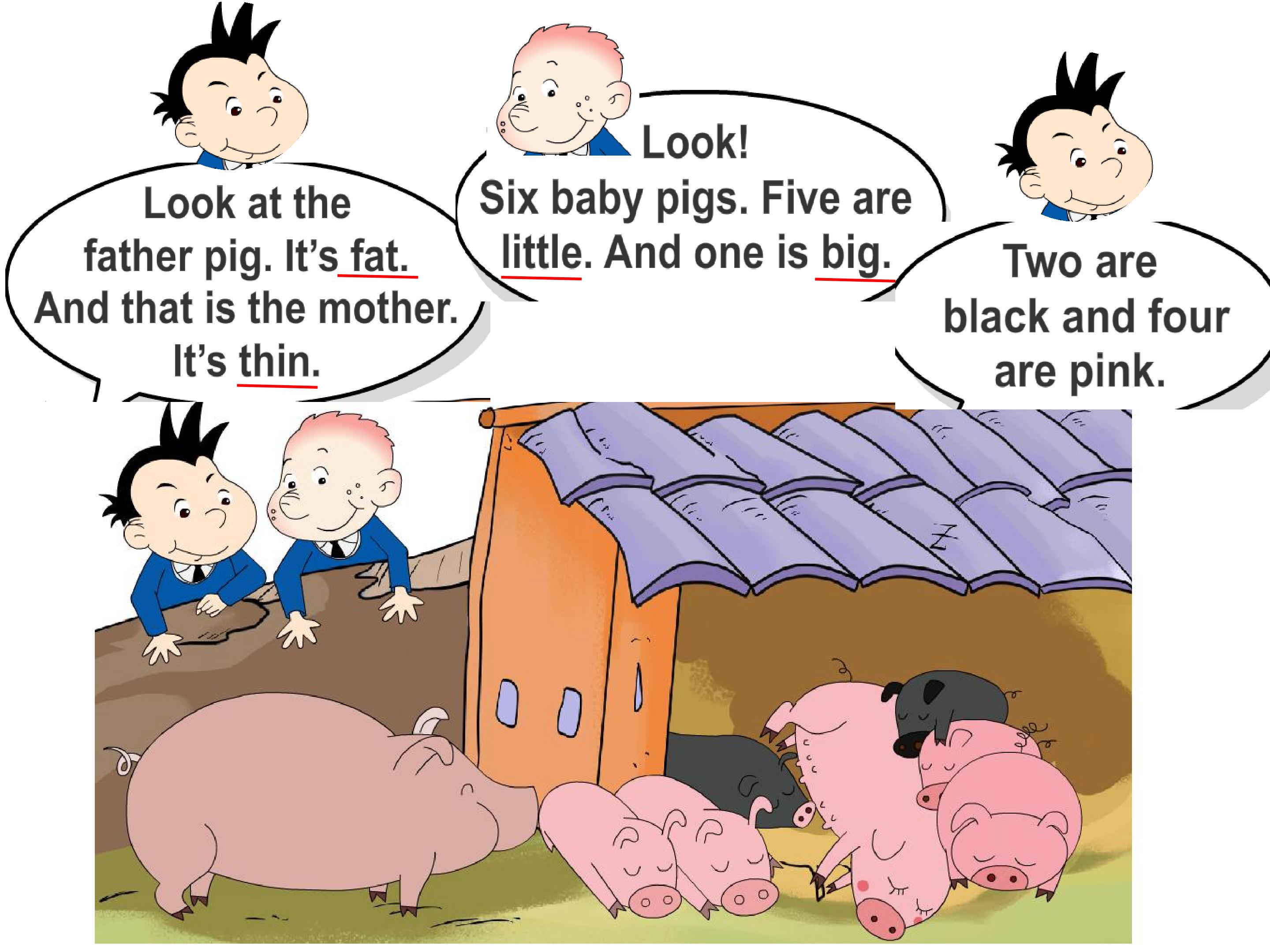 22.jpg