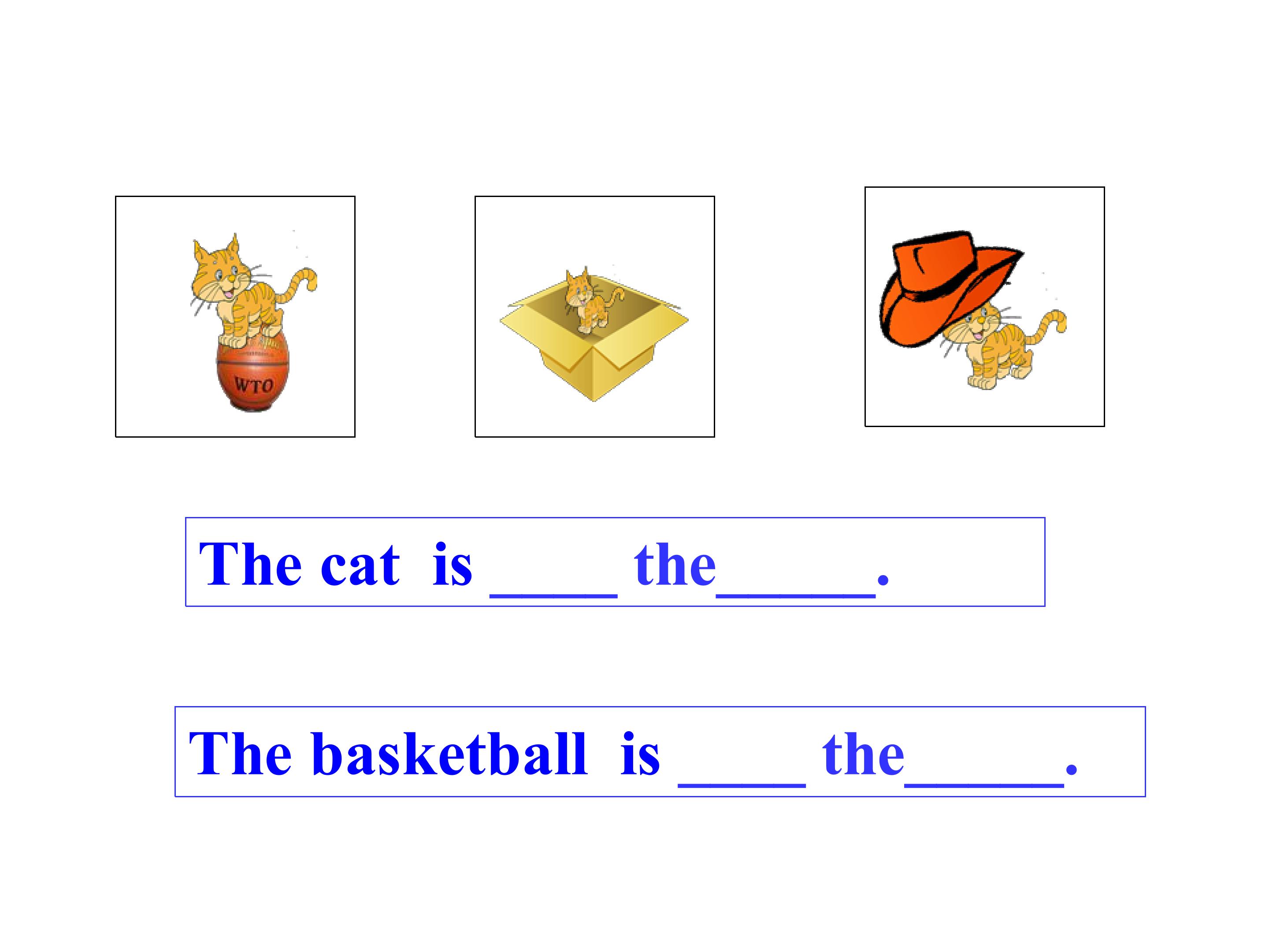 29.jpg