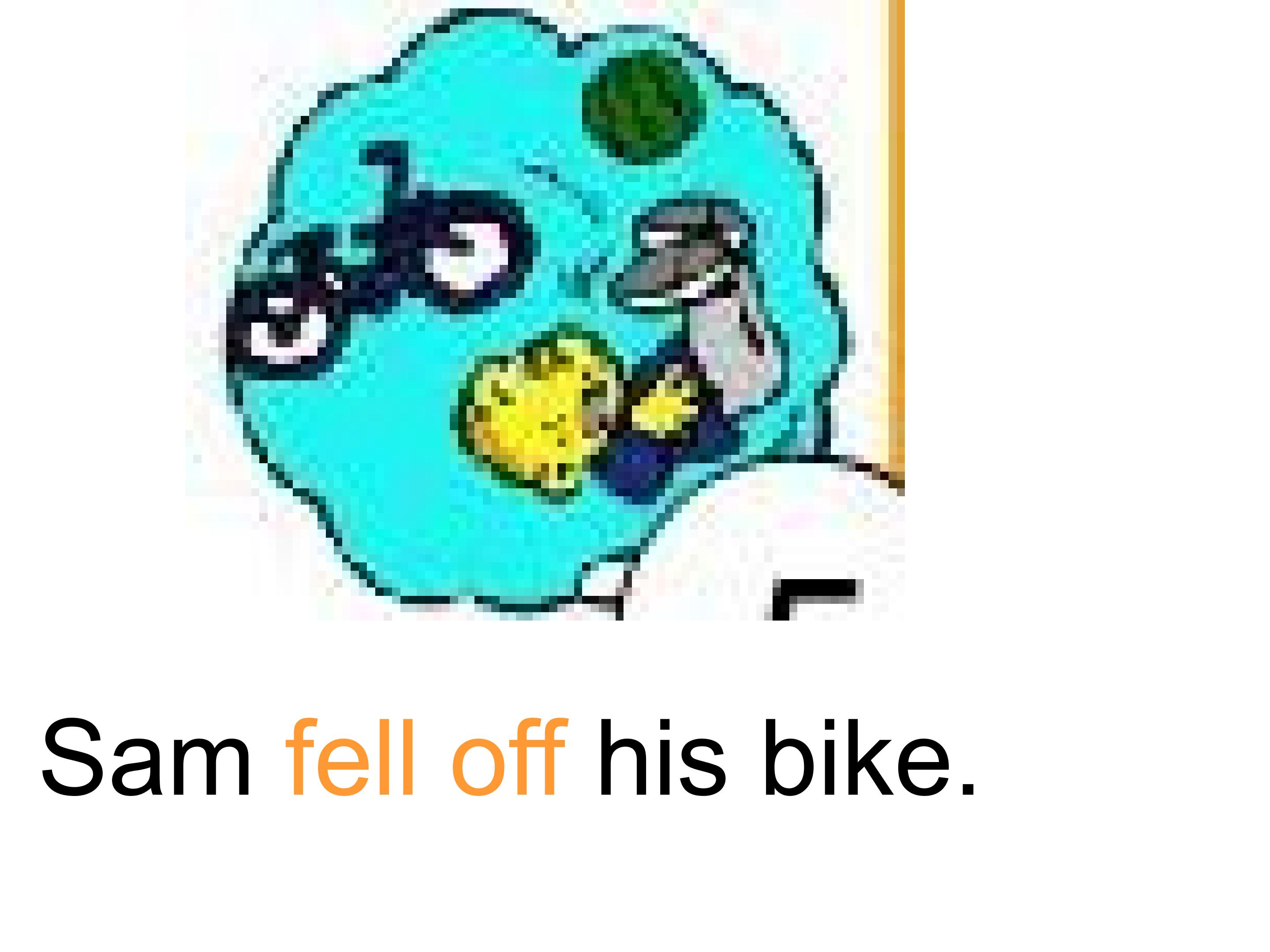 24.jpg