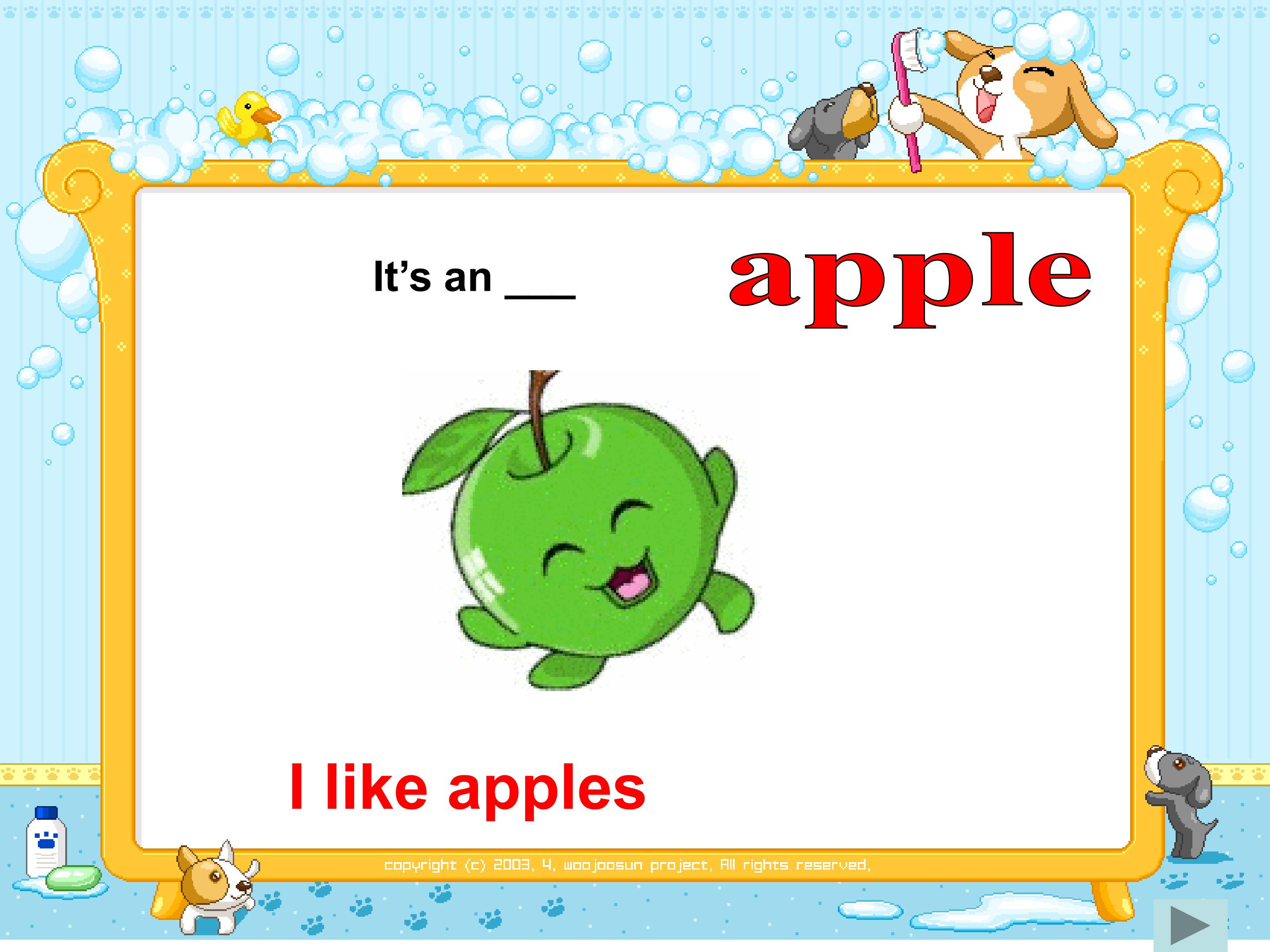 24.jpg