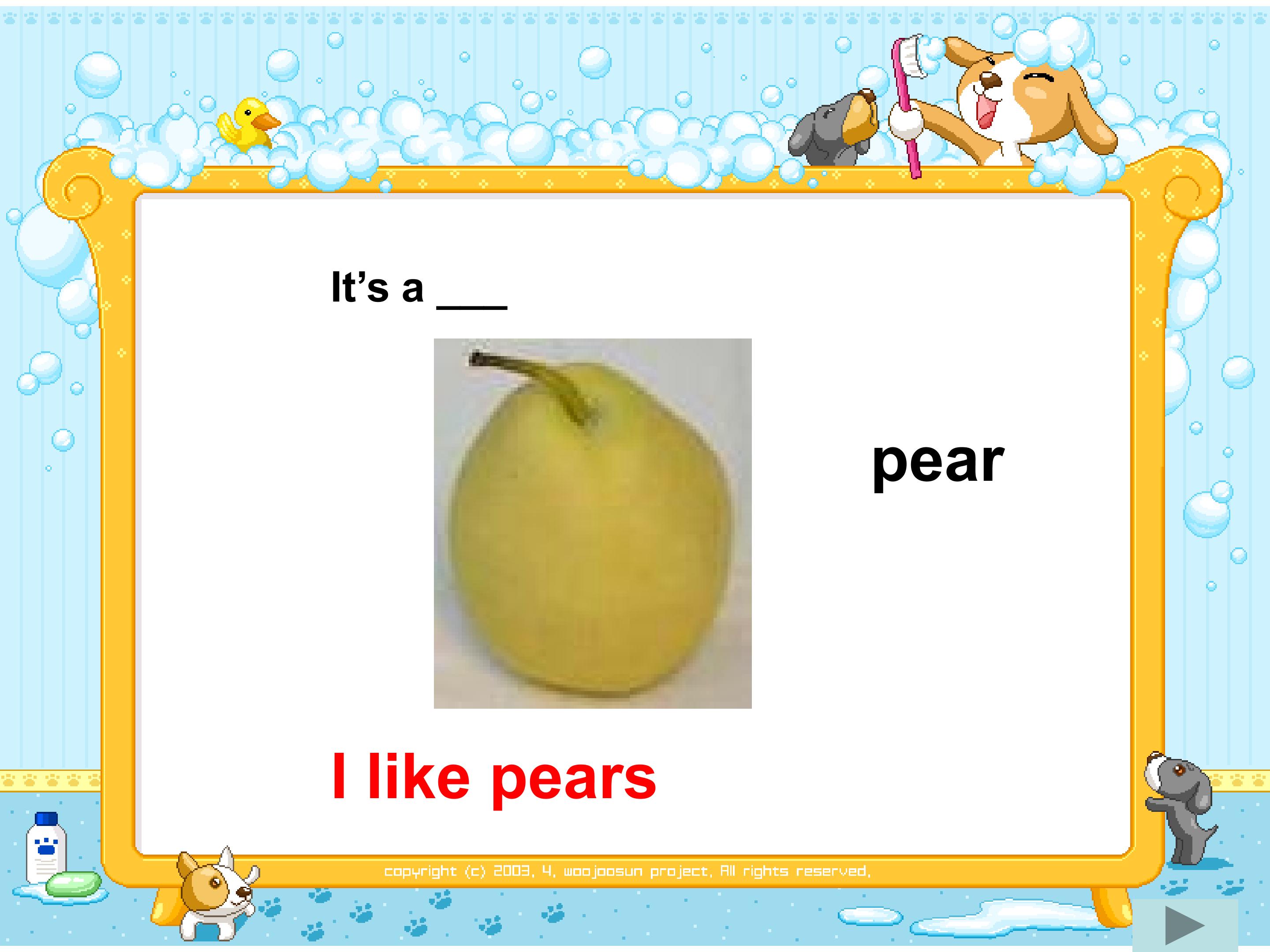 28.jpg