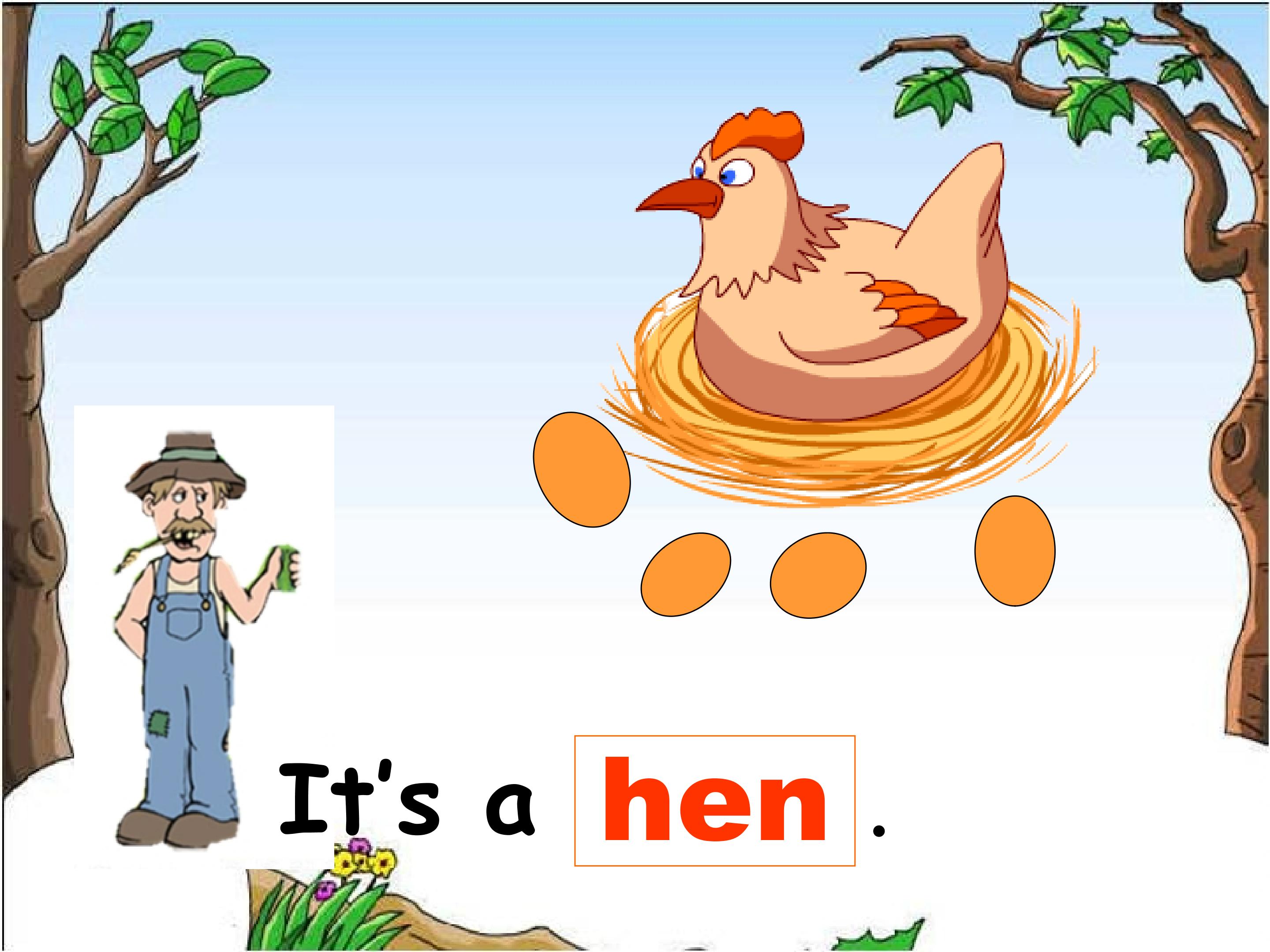 14.jpg