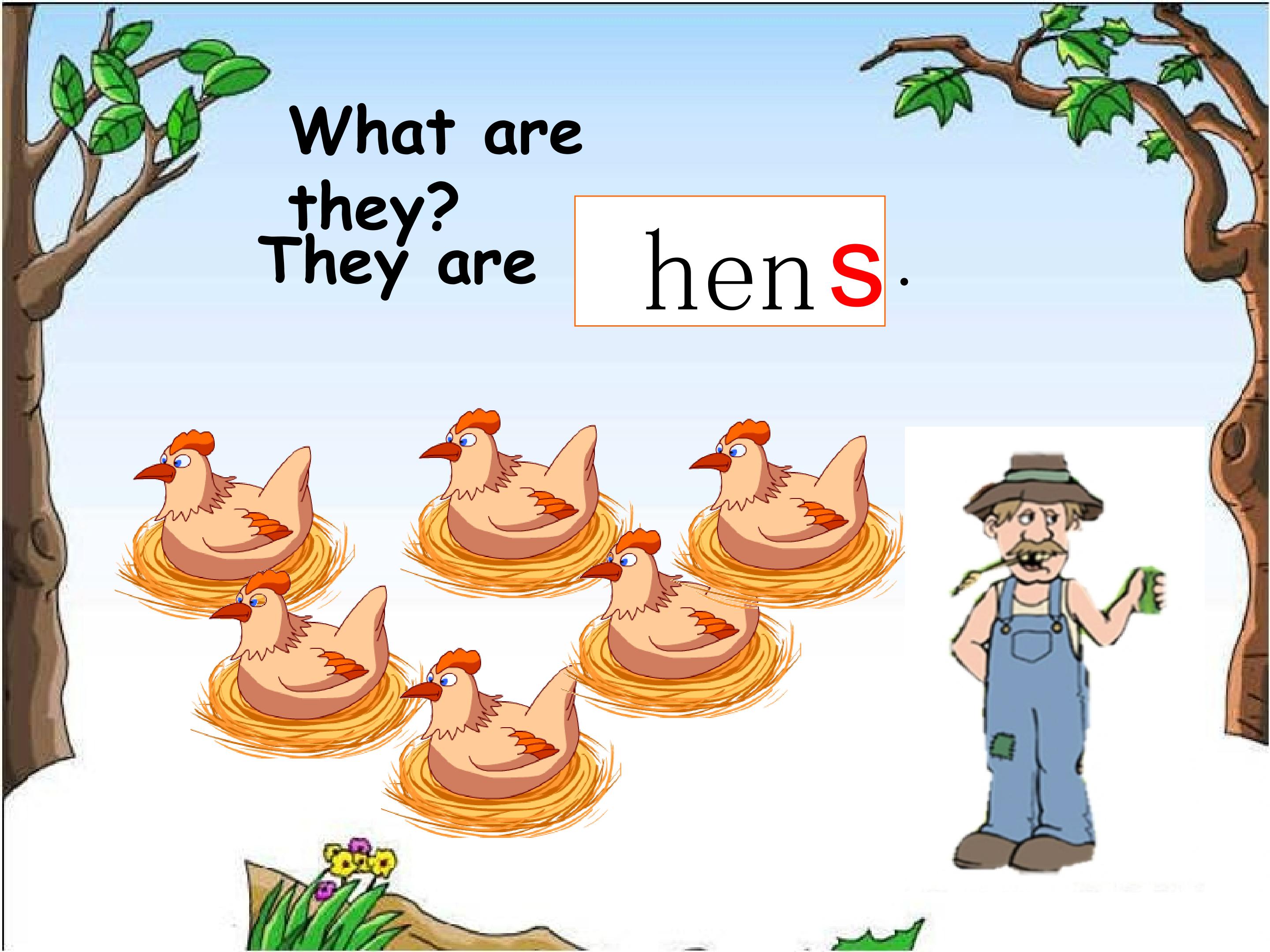 15.jpg