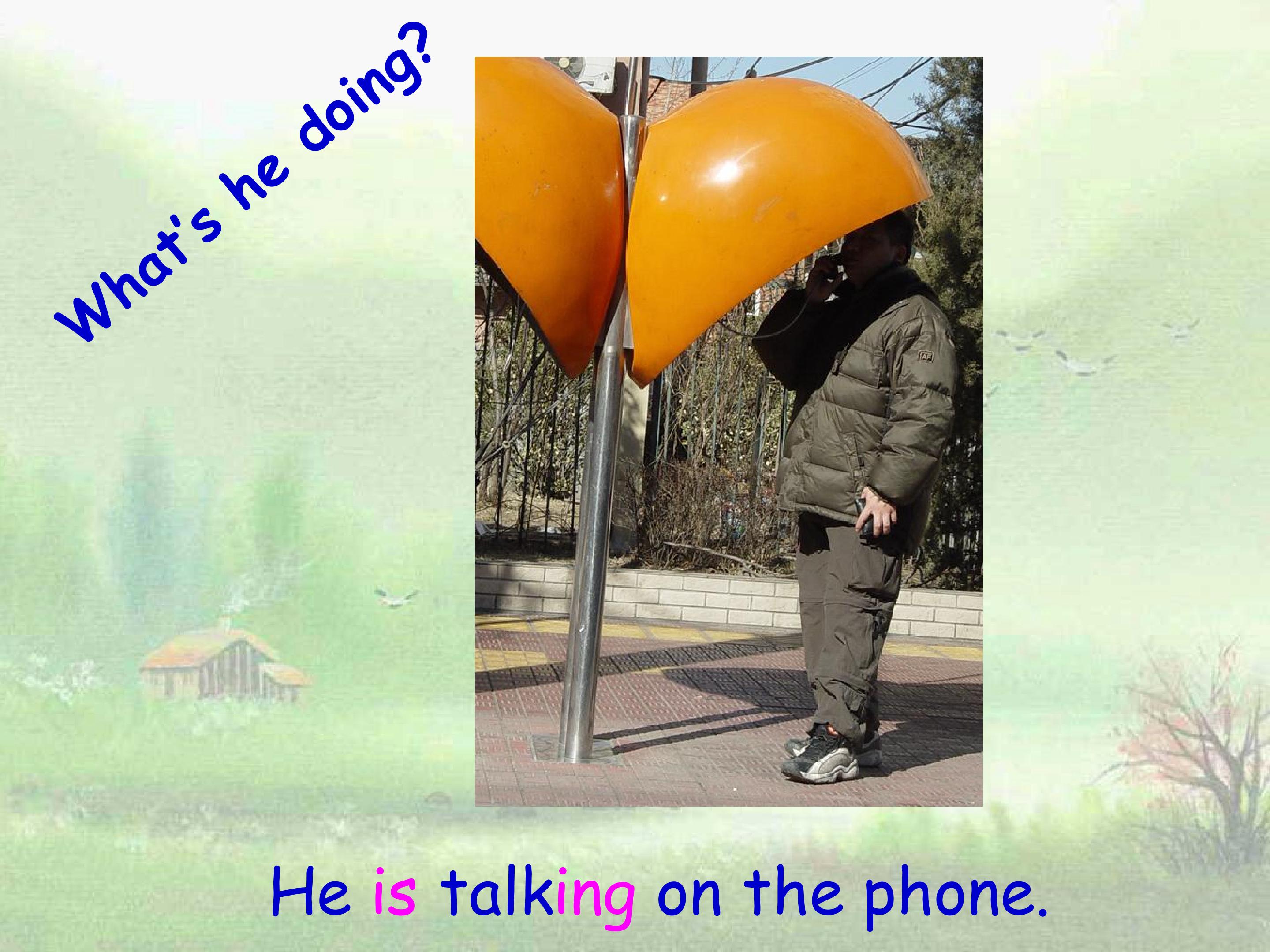 31.jpg