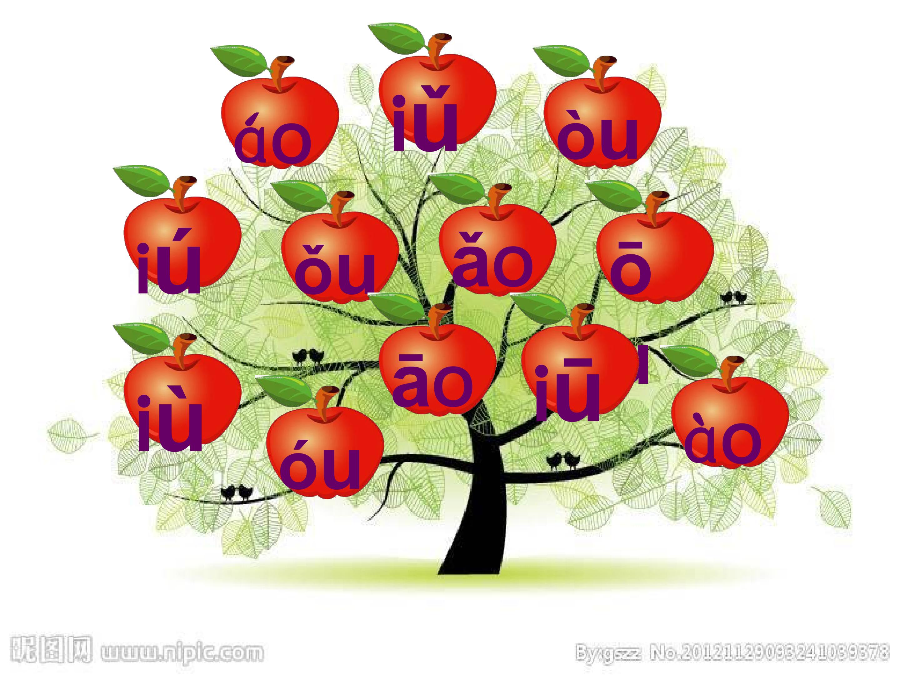 6.jpg