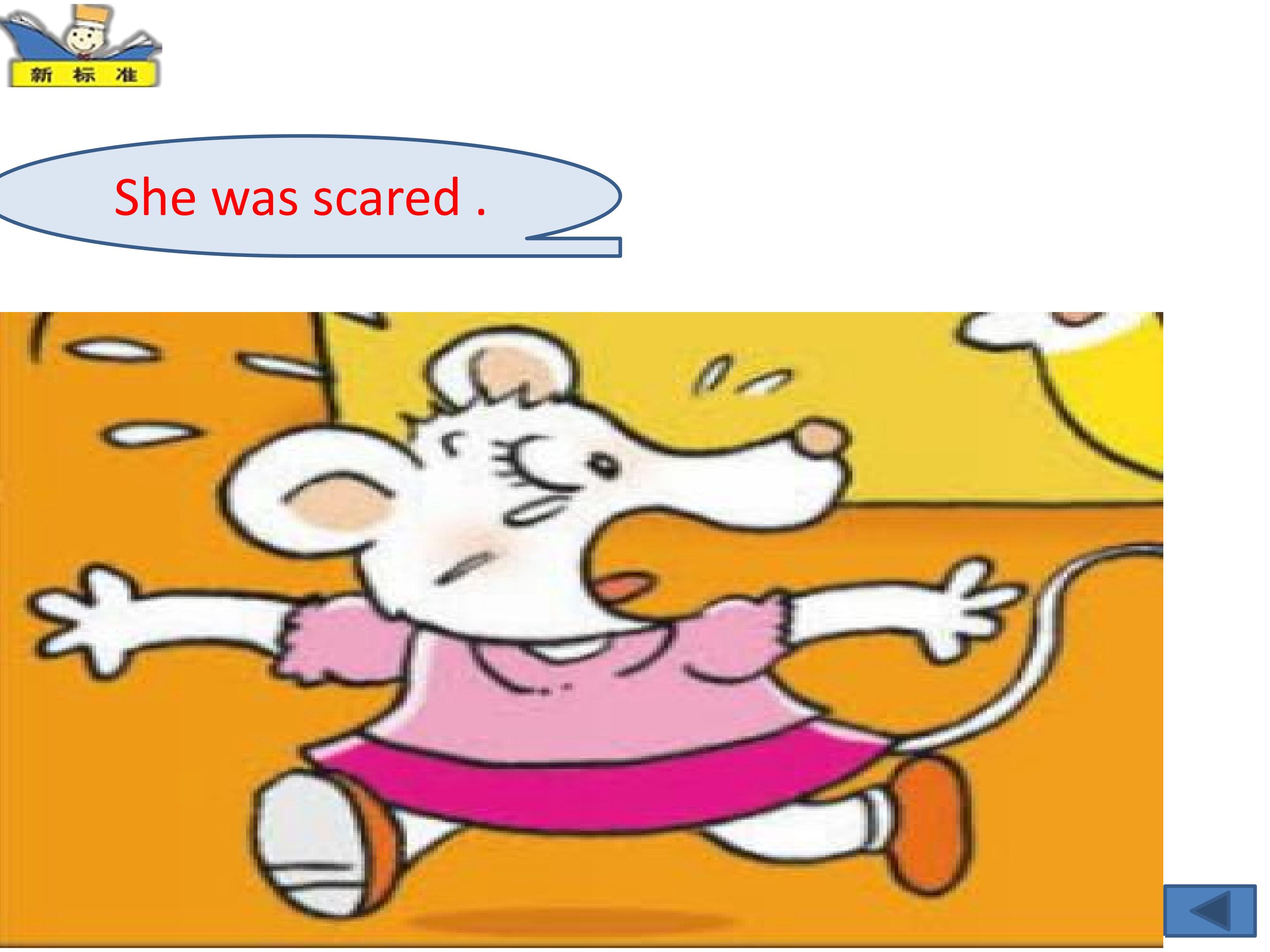 28.jpg