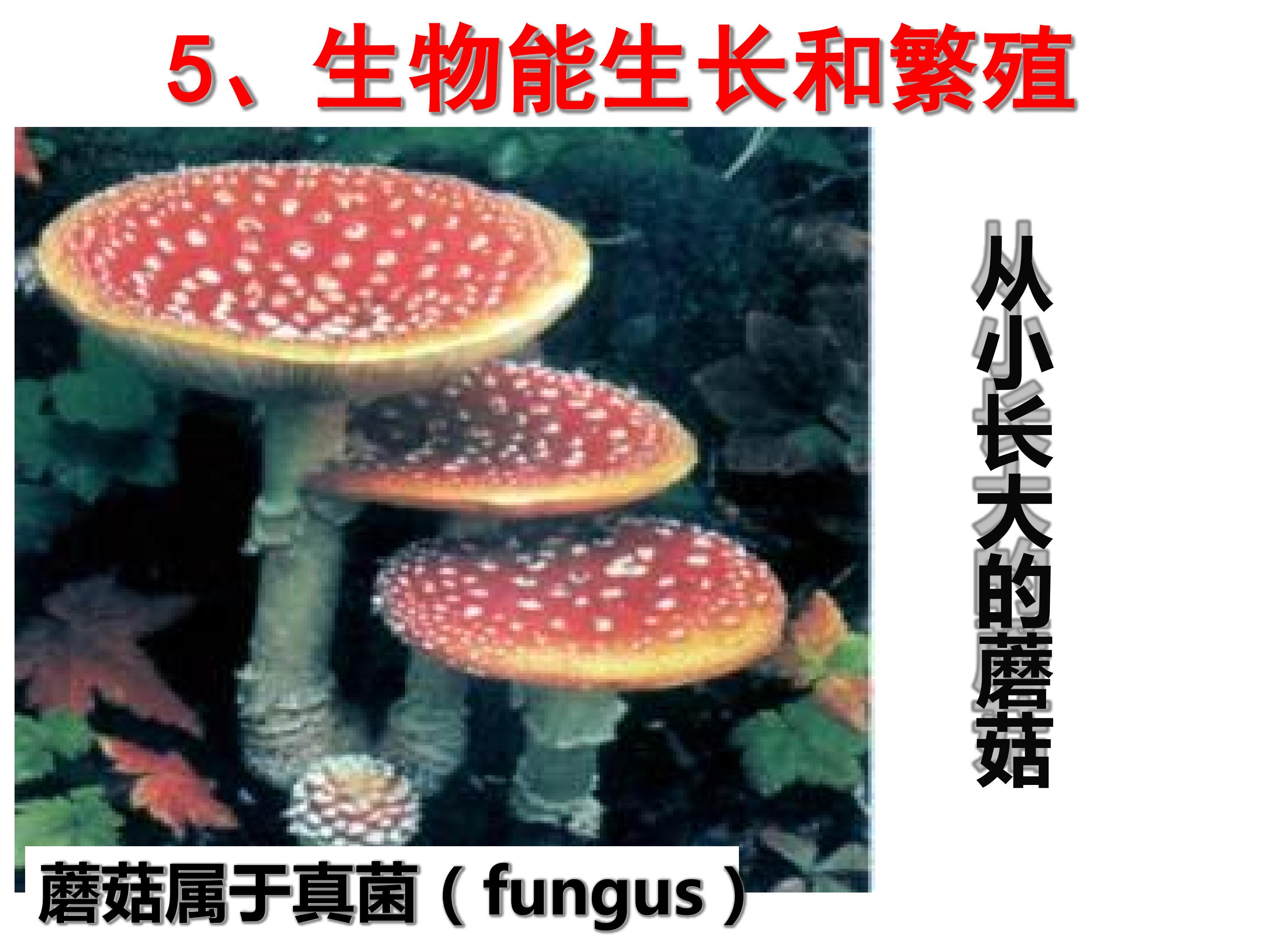 66.jpg