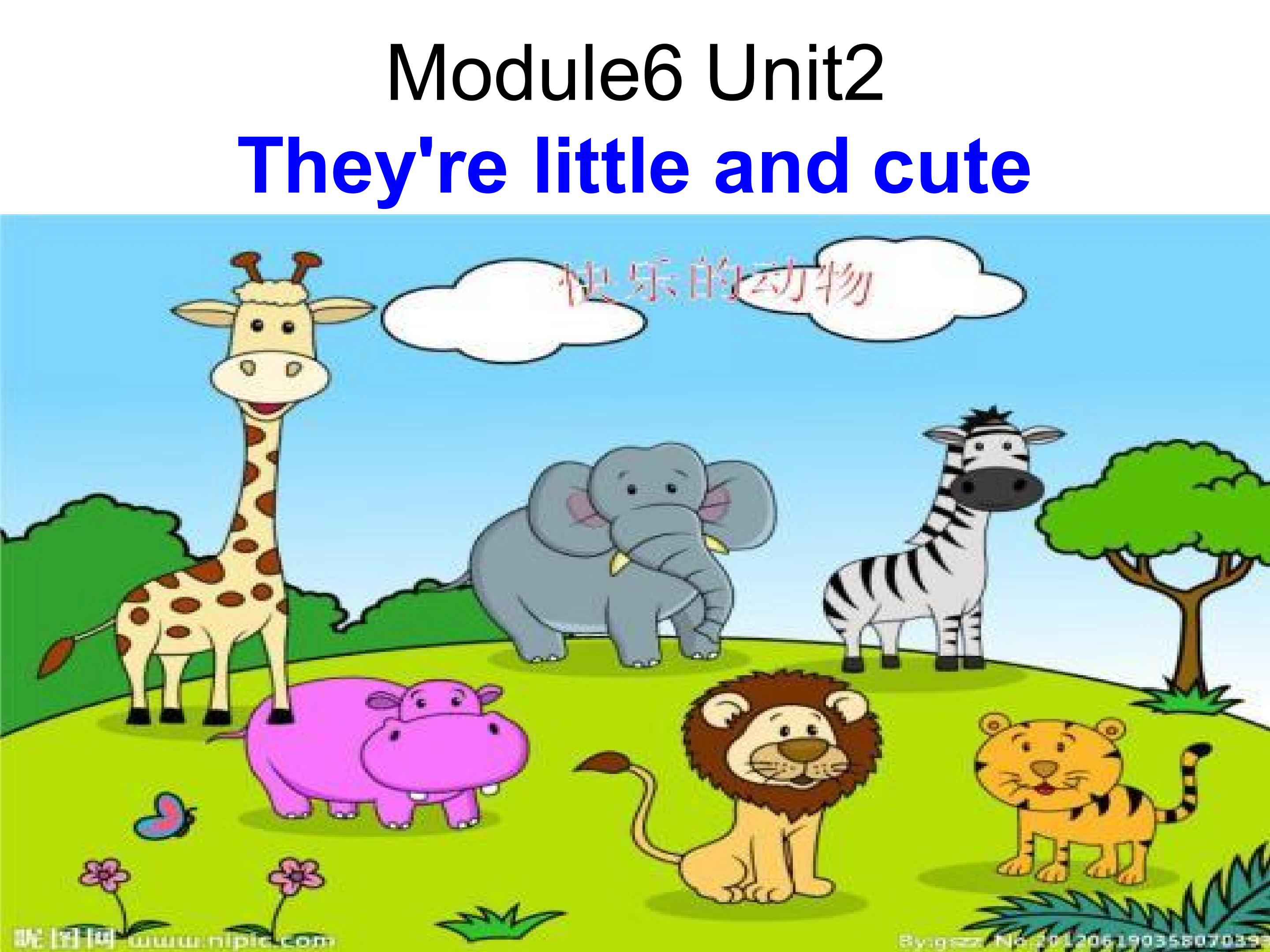 1.jpg