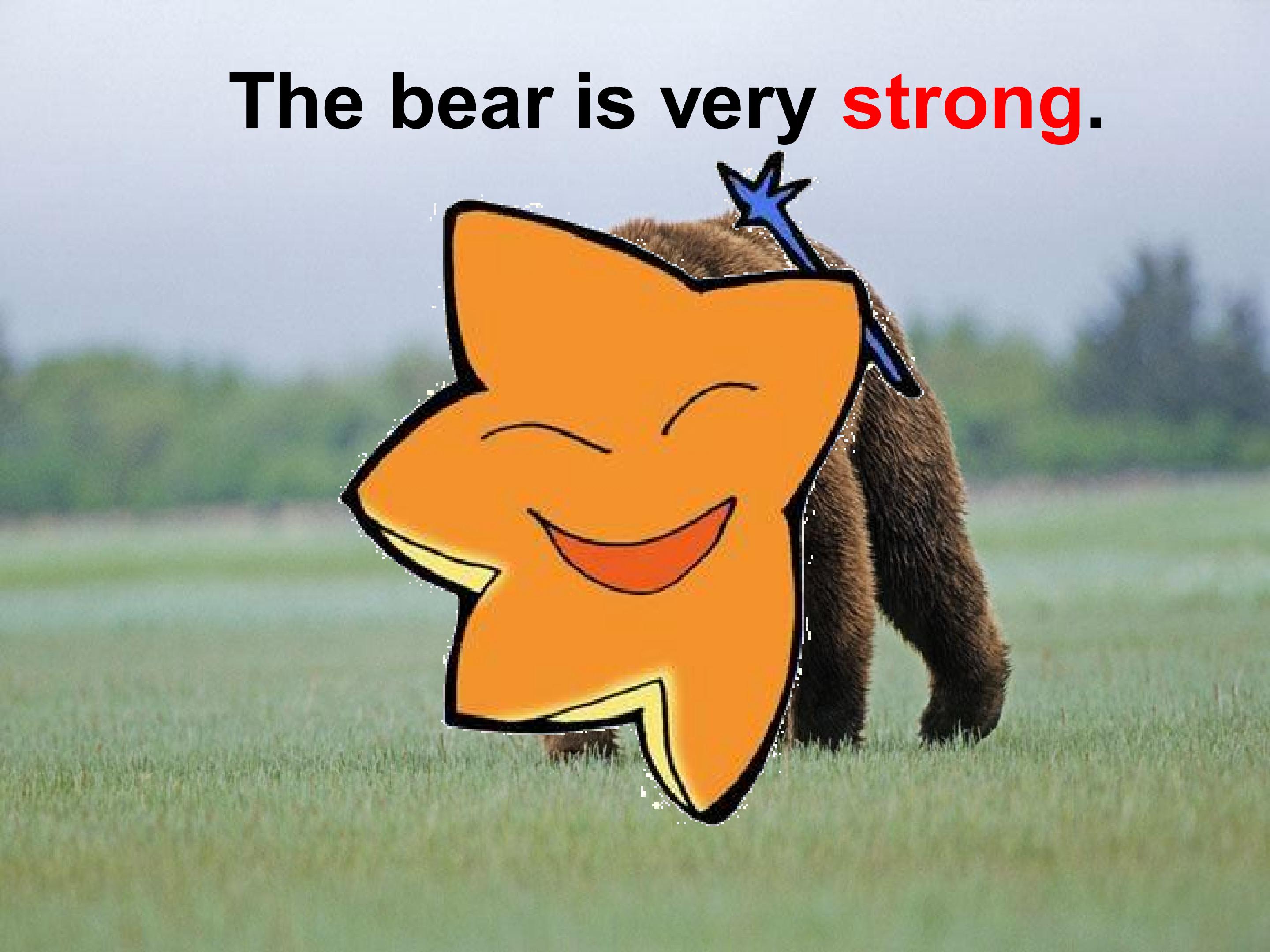 18.jpg