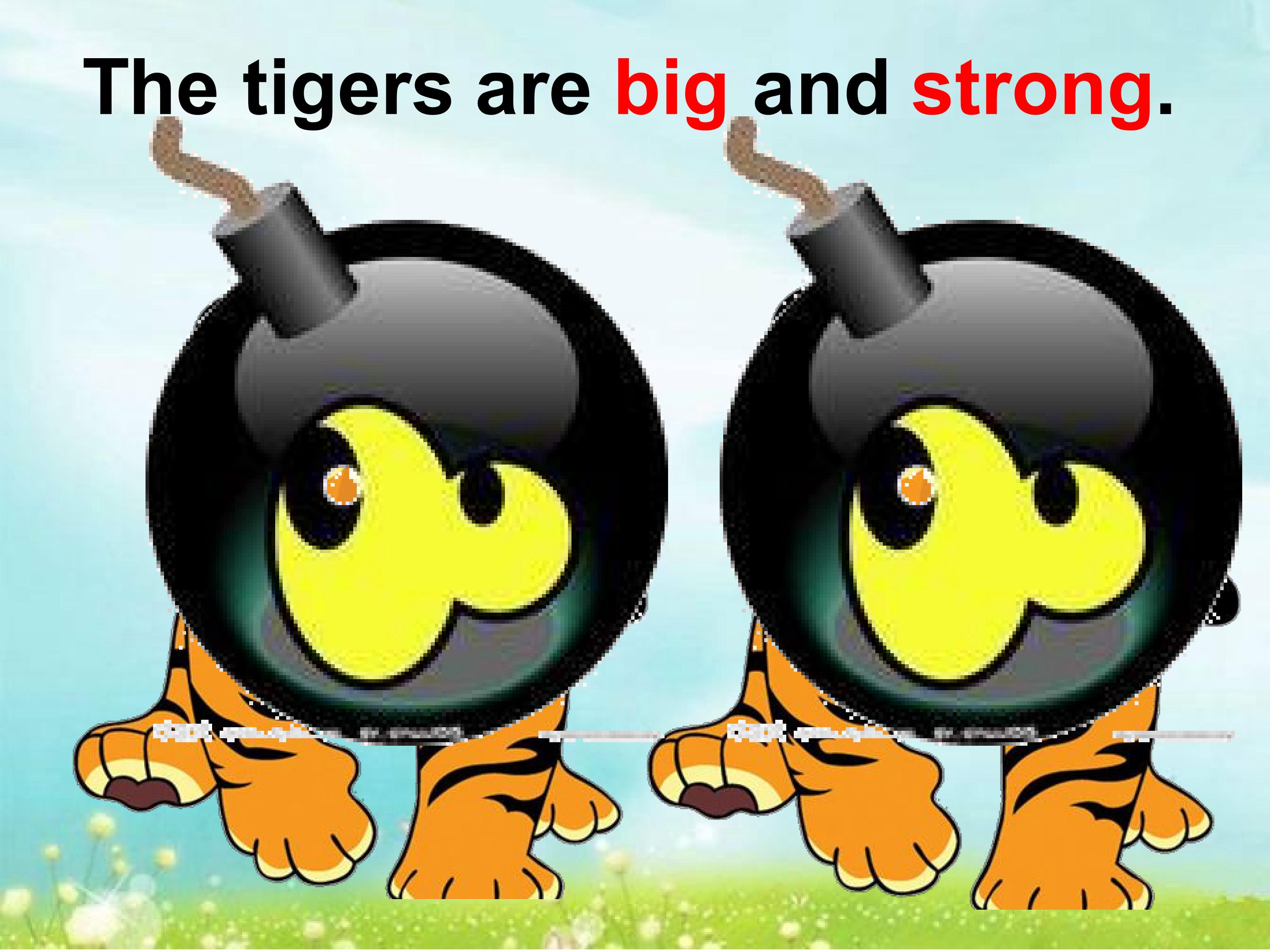 20.jpg