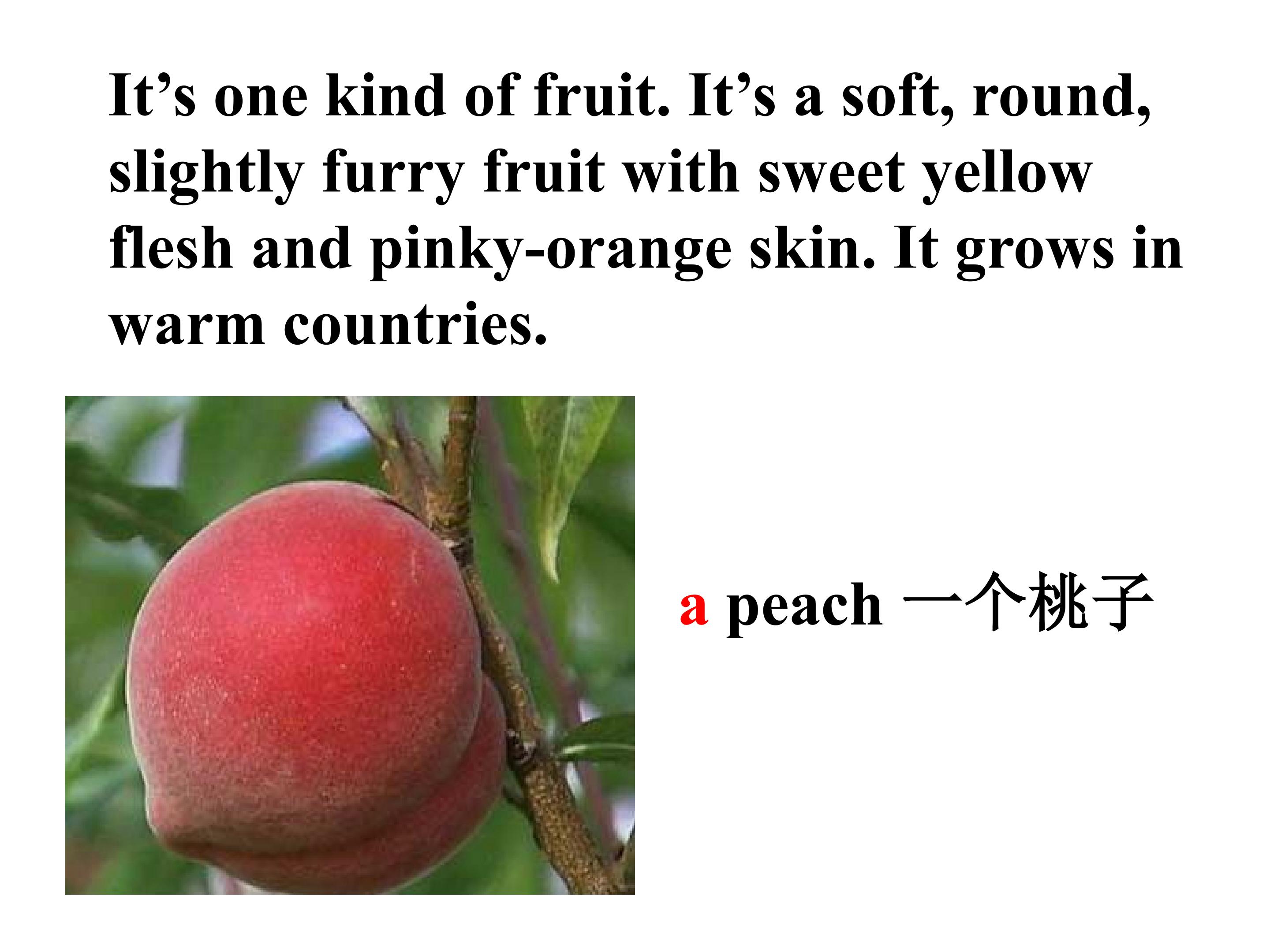 26.jpg