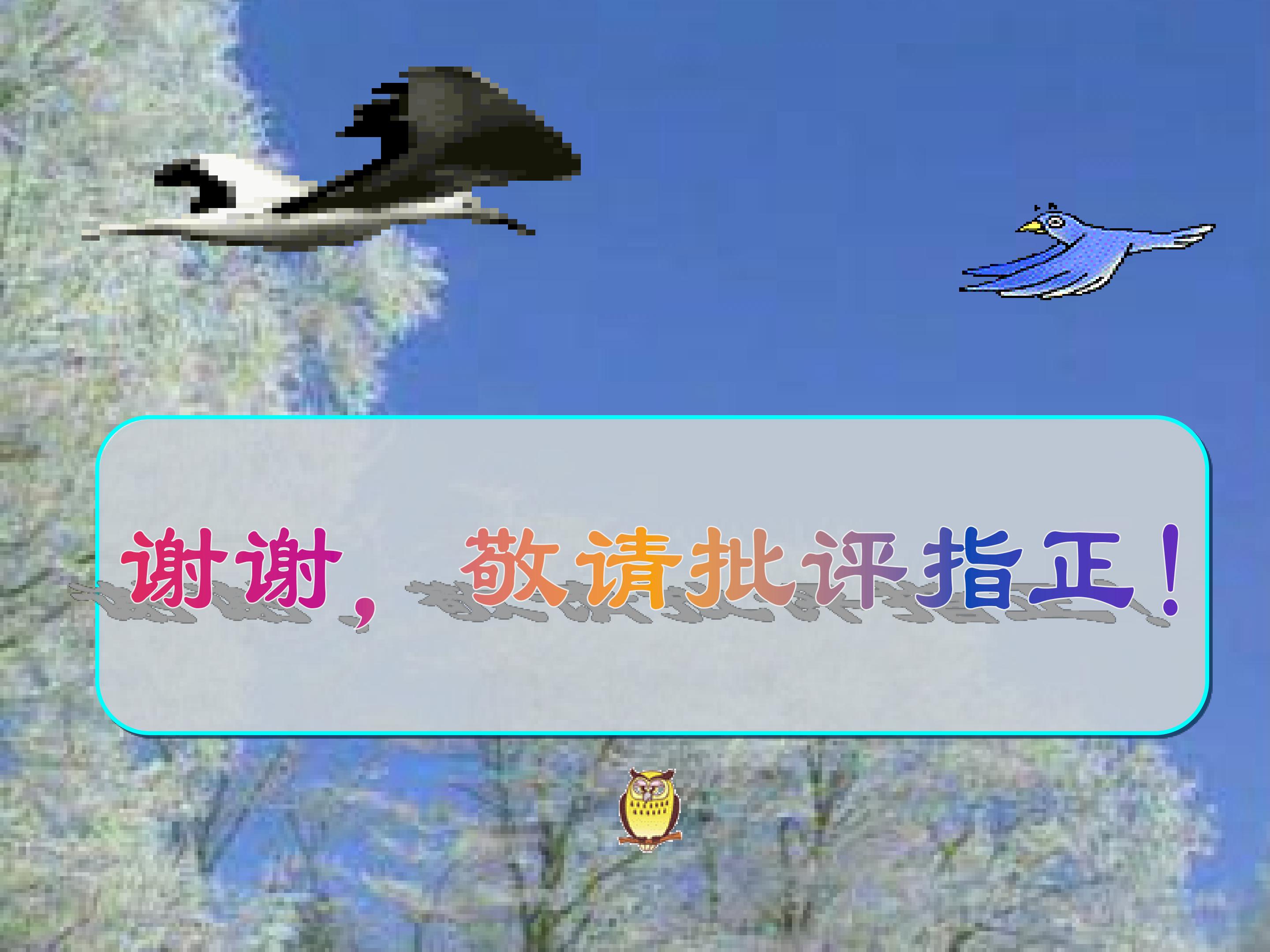 17.jpg