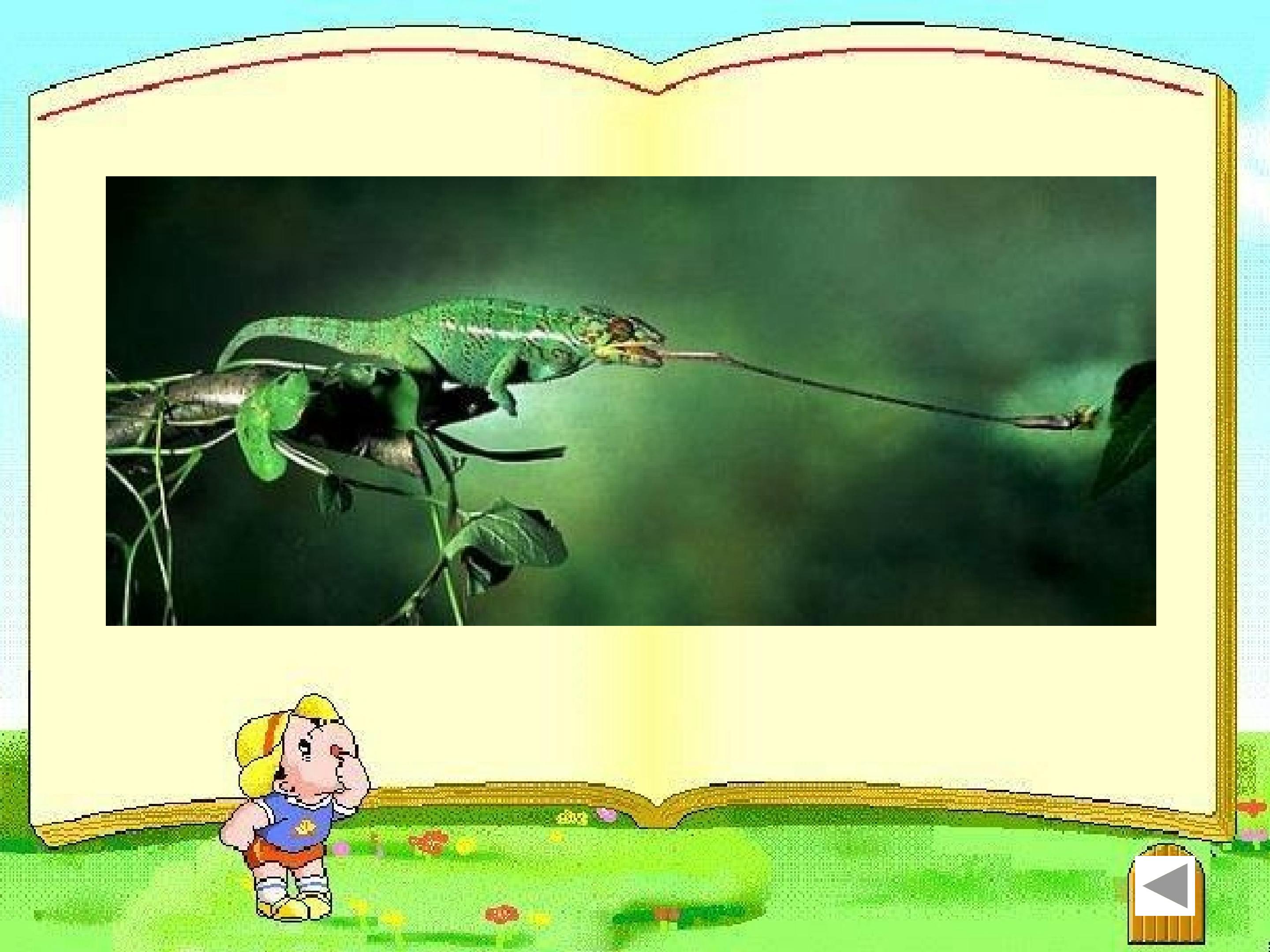 17.jpg