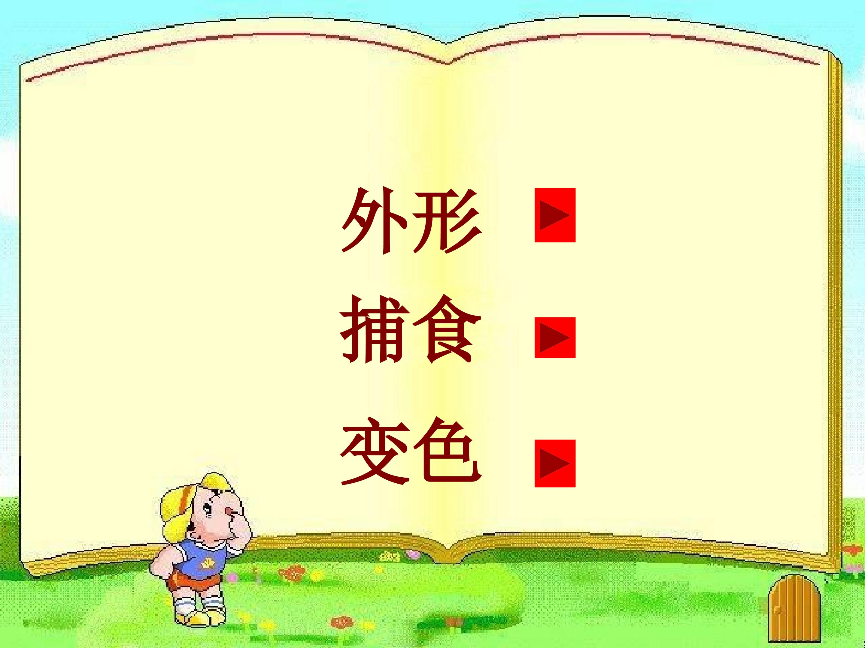 20.jpg