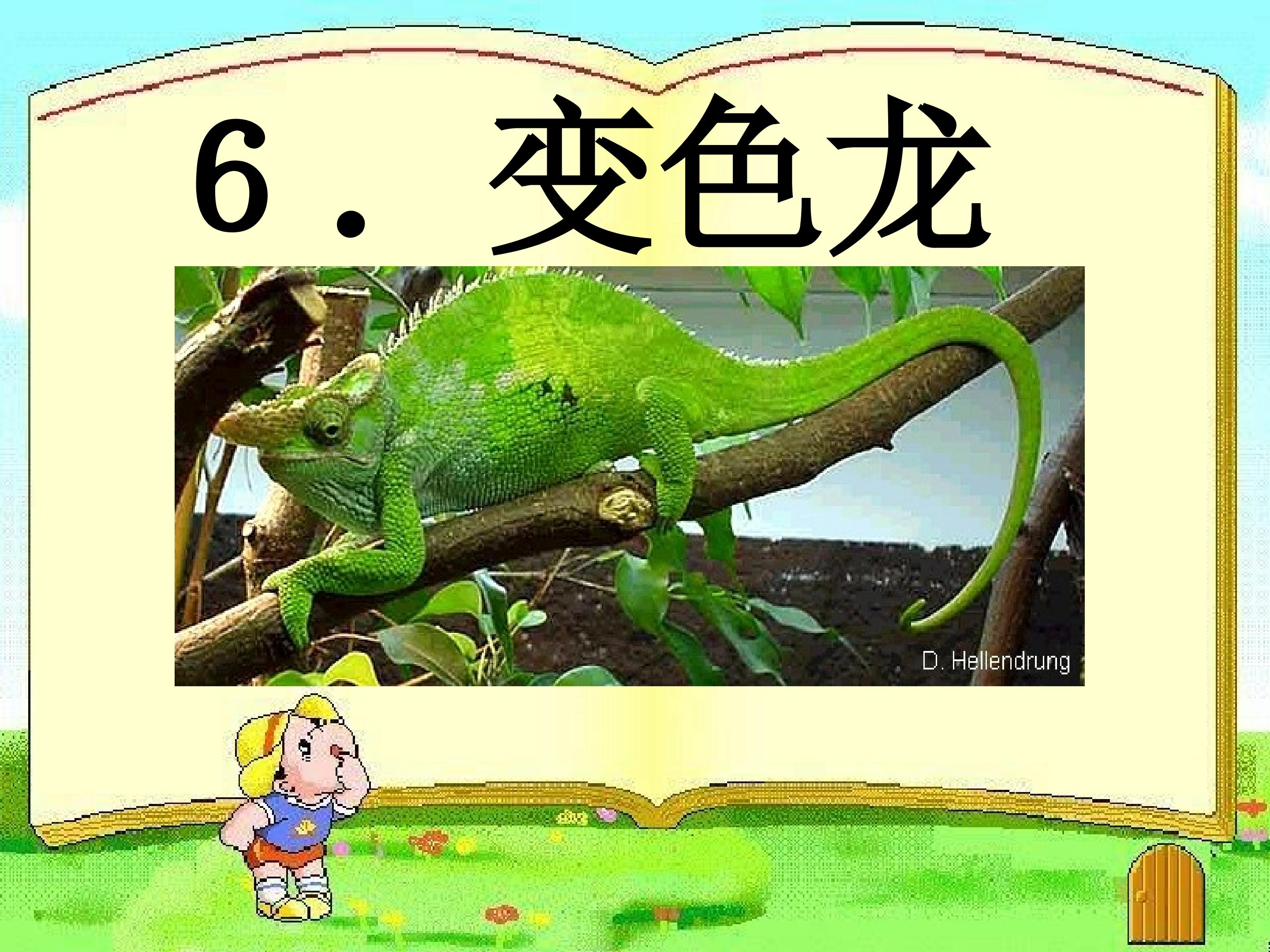 8.jpg