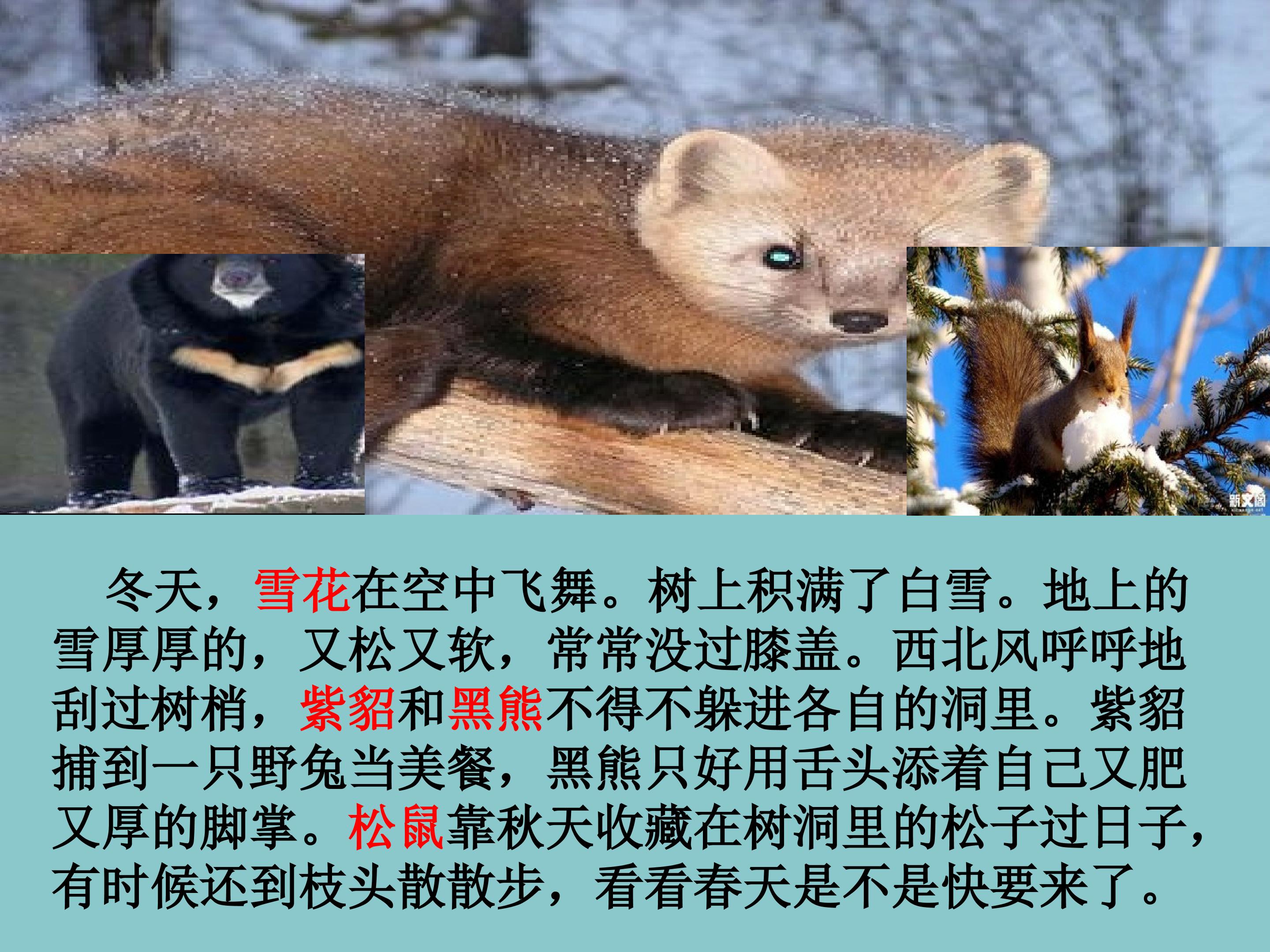 35.jpg